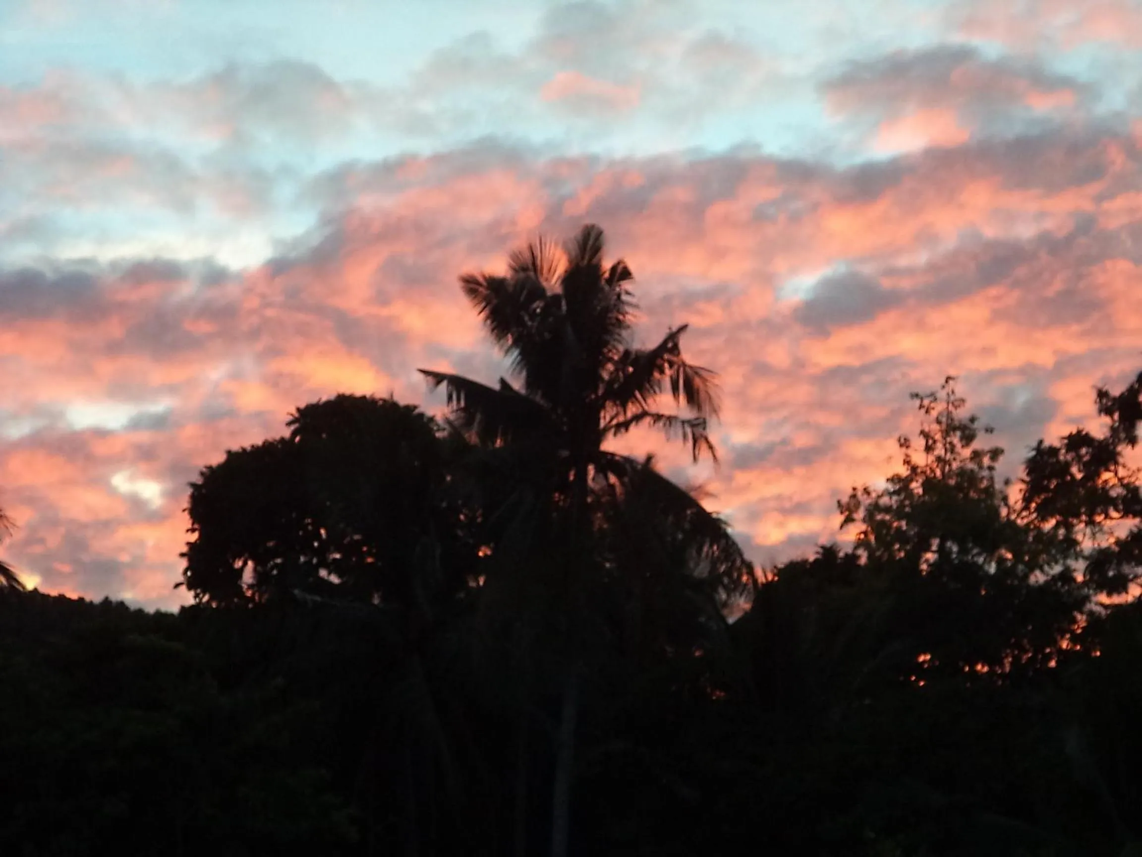 Natural landscape in High Steps Pension