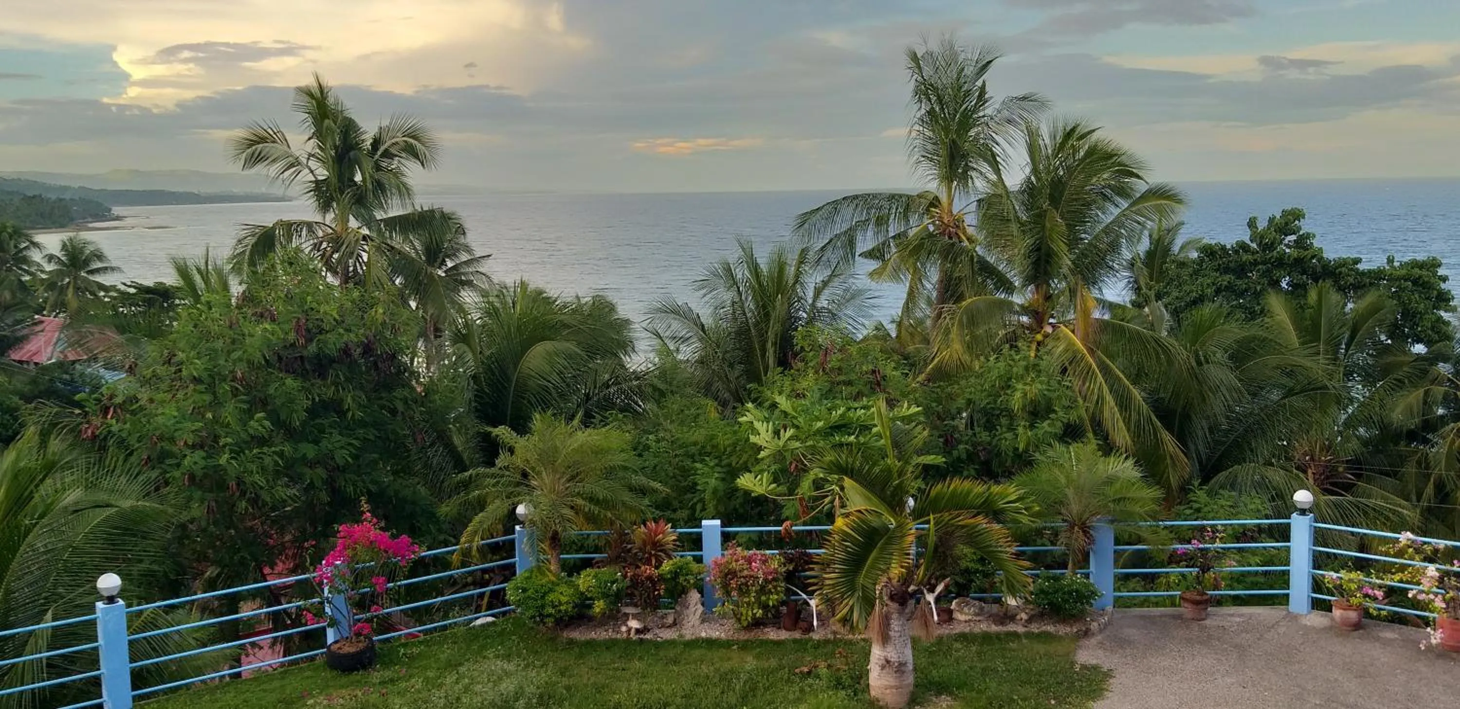 Garden view in High Steps Pension