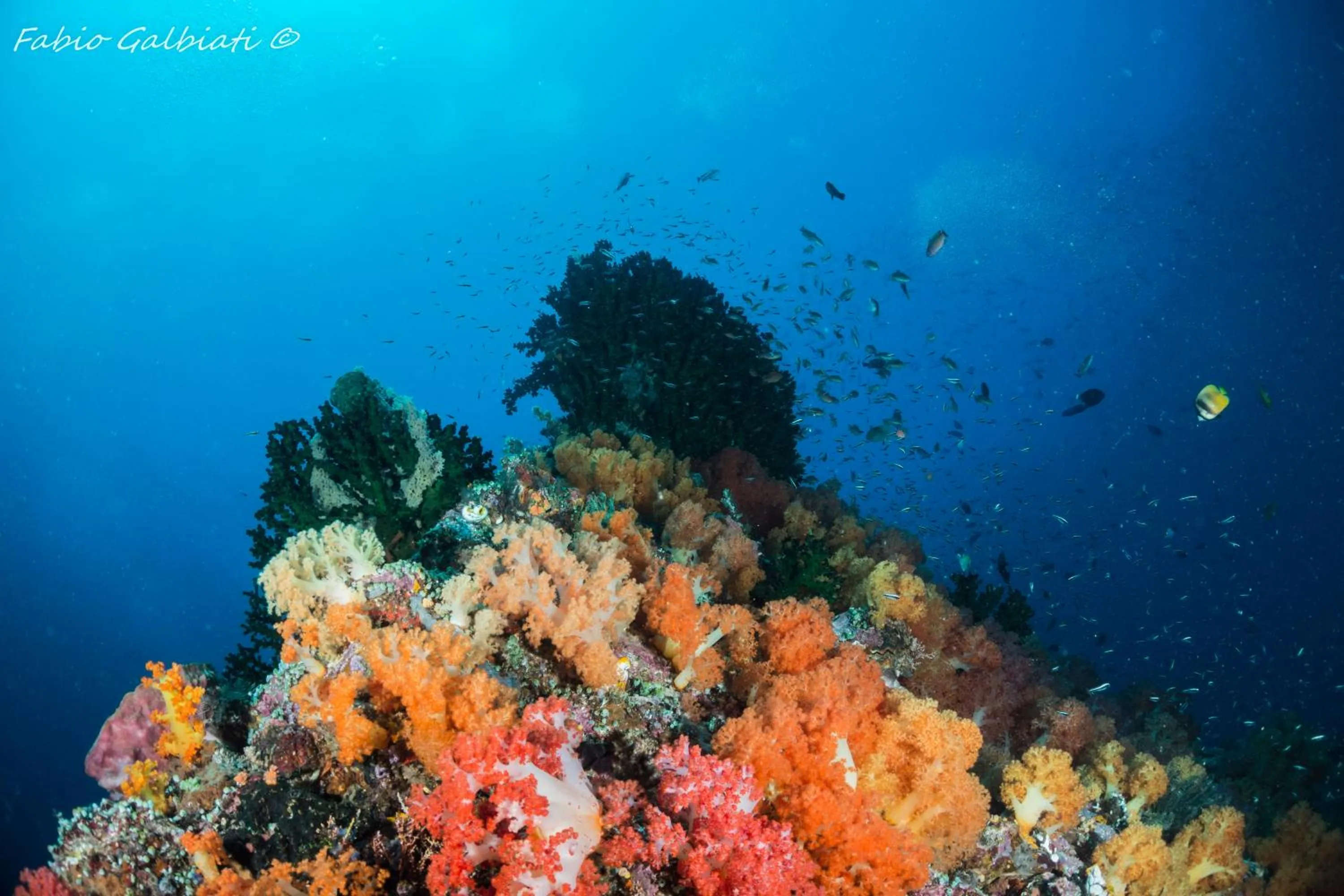 Sports in Coral Eye Boutique Resort and Marine Outpost