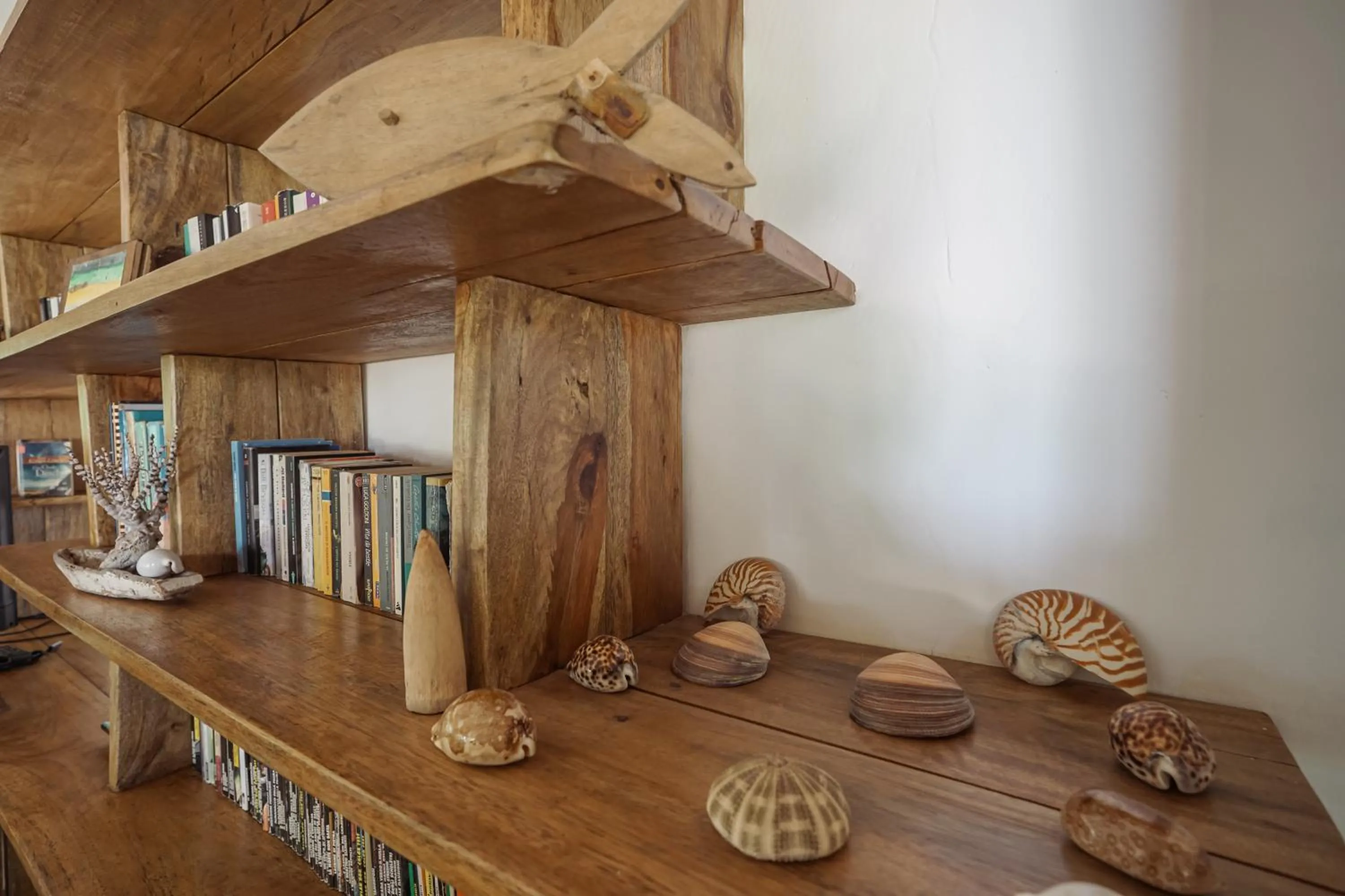 Library in Coral Eye Boutique Resort and Marine Outpost