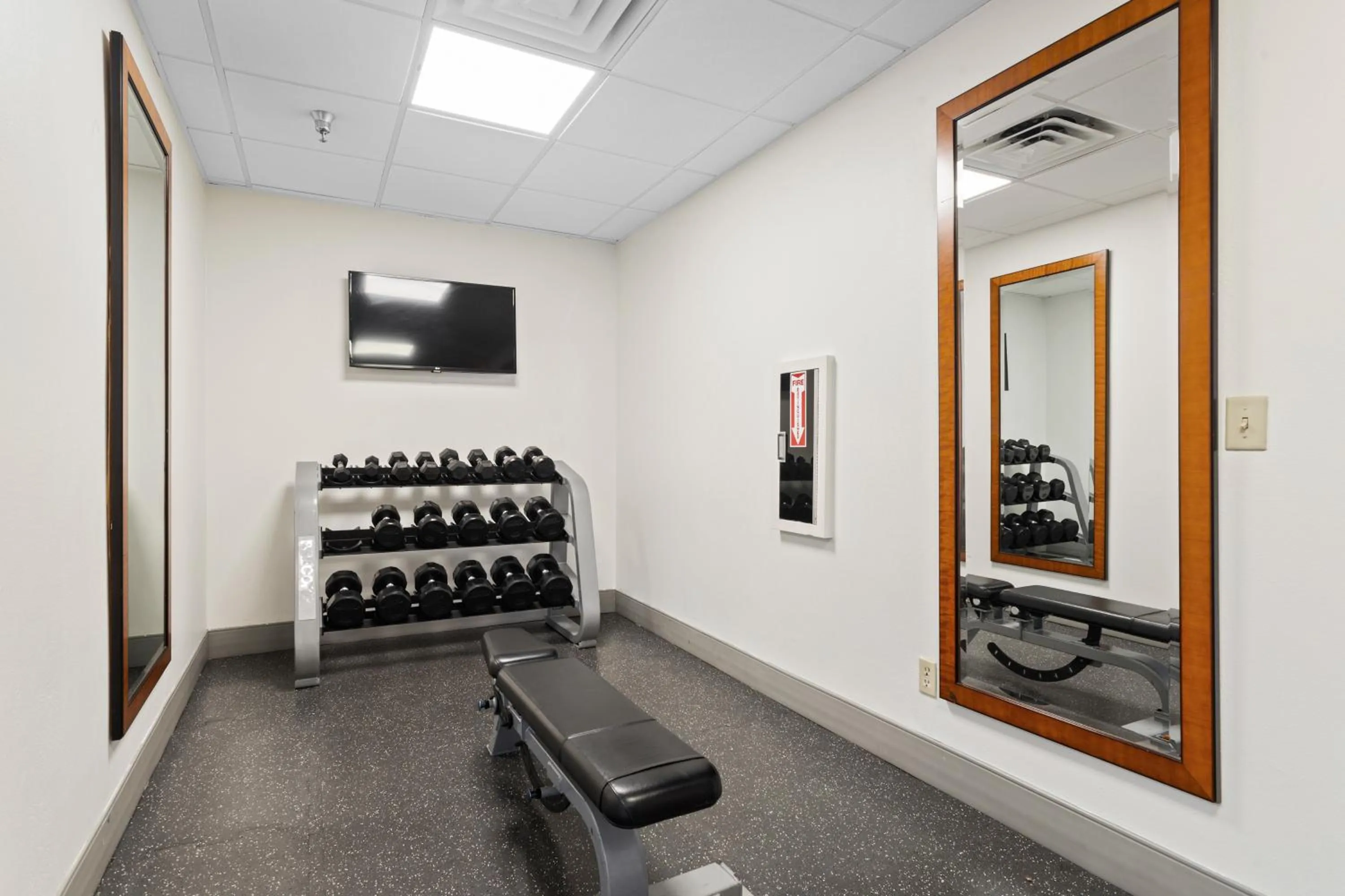 Fitness centre/facilities in Holiday Inn Tampa Westshore - Airport Area by IHG