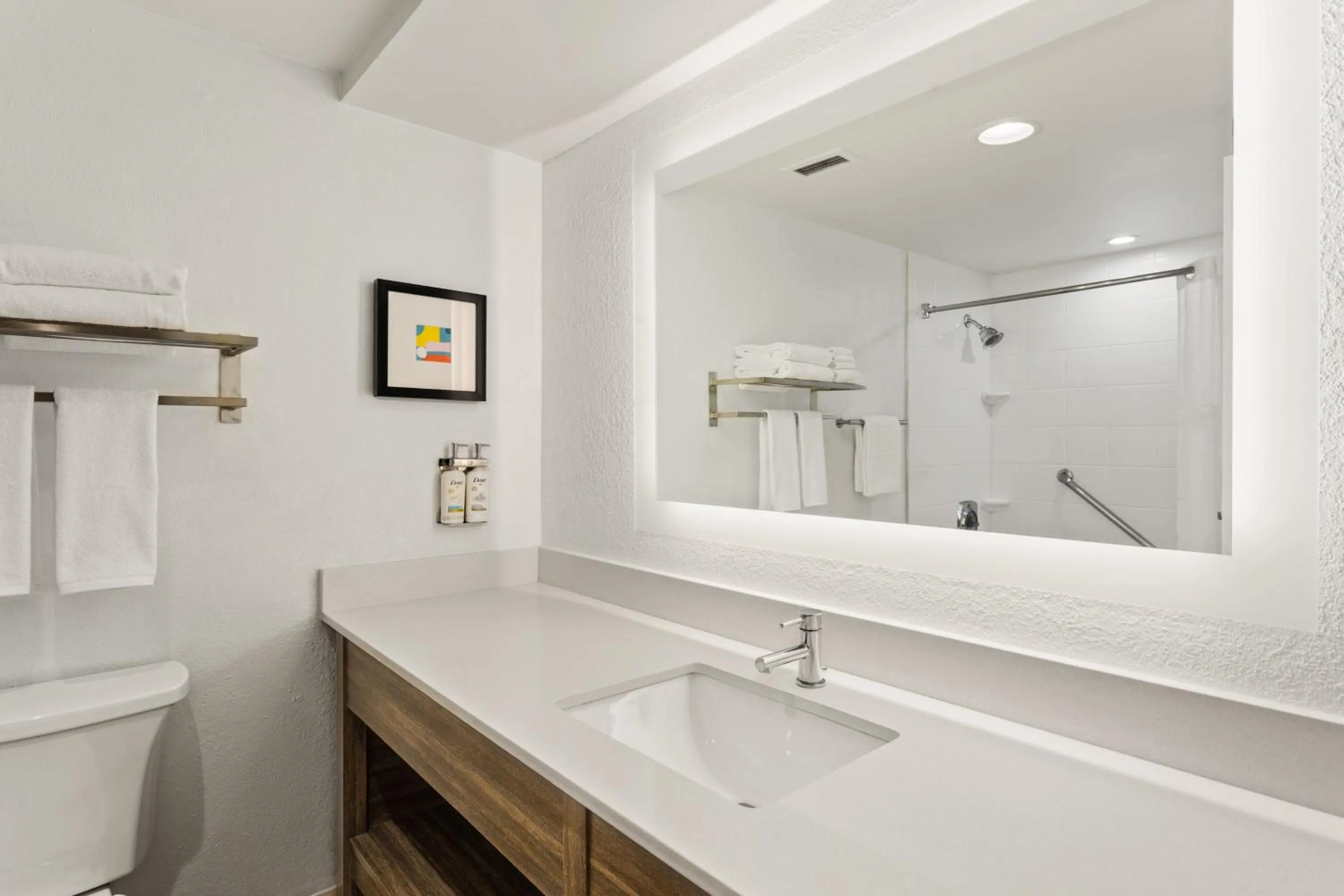 Bathroom in Holiday Inn Tampa Westshore - Airport Area by IHG