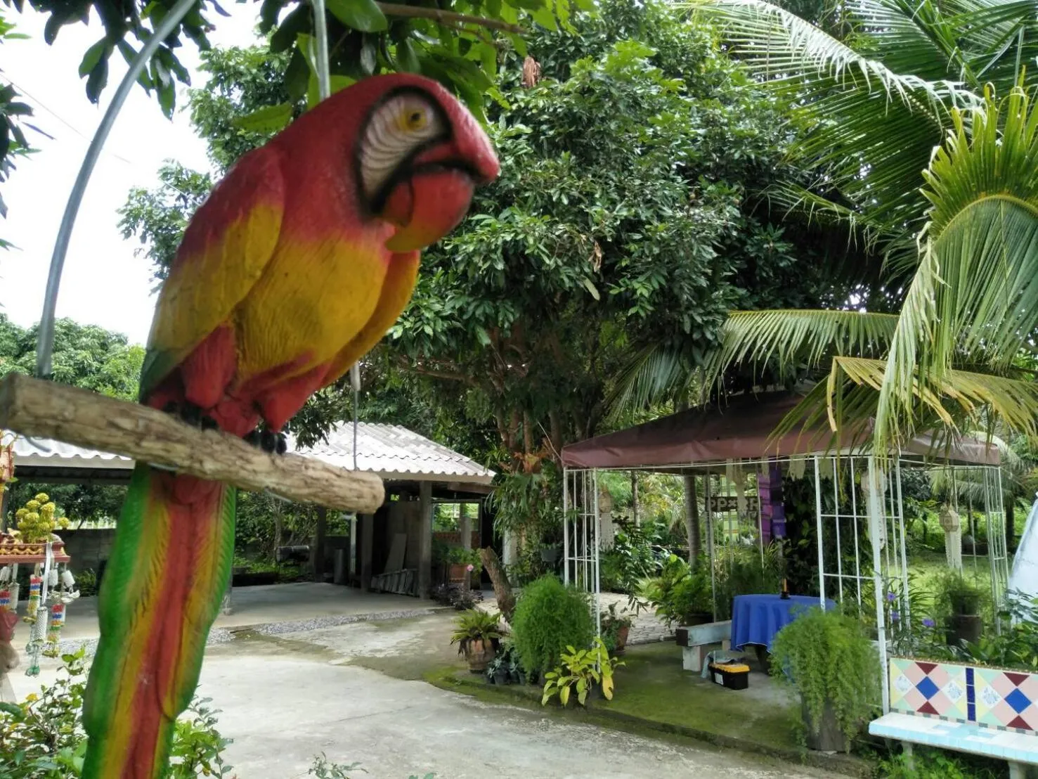 Natural landscape in Oui Kaew Homestay