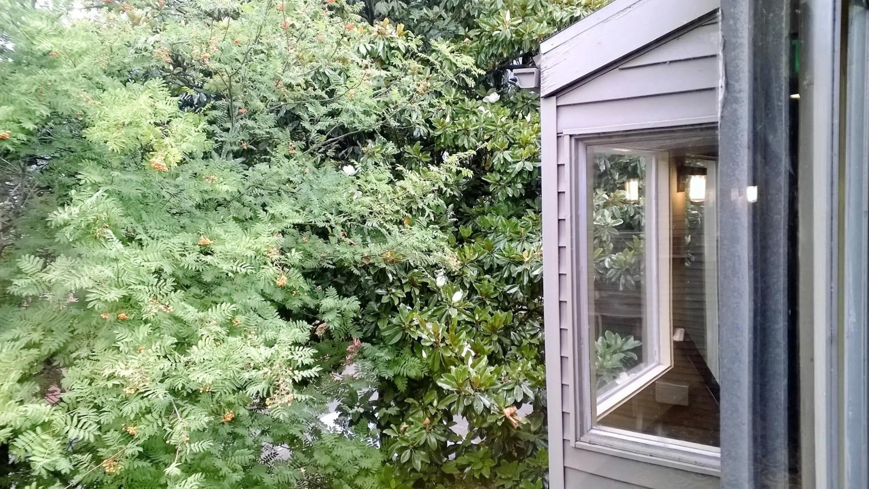 Other in Downtown Value Inn