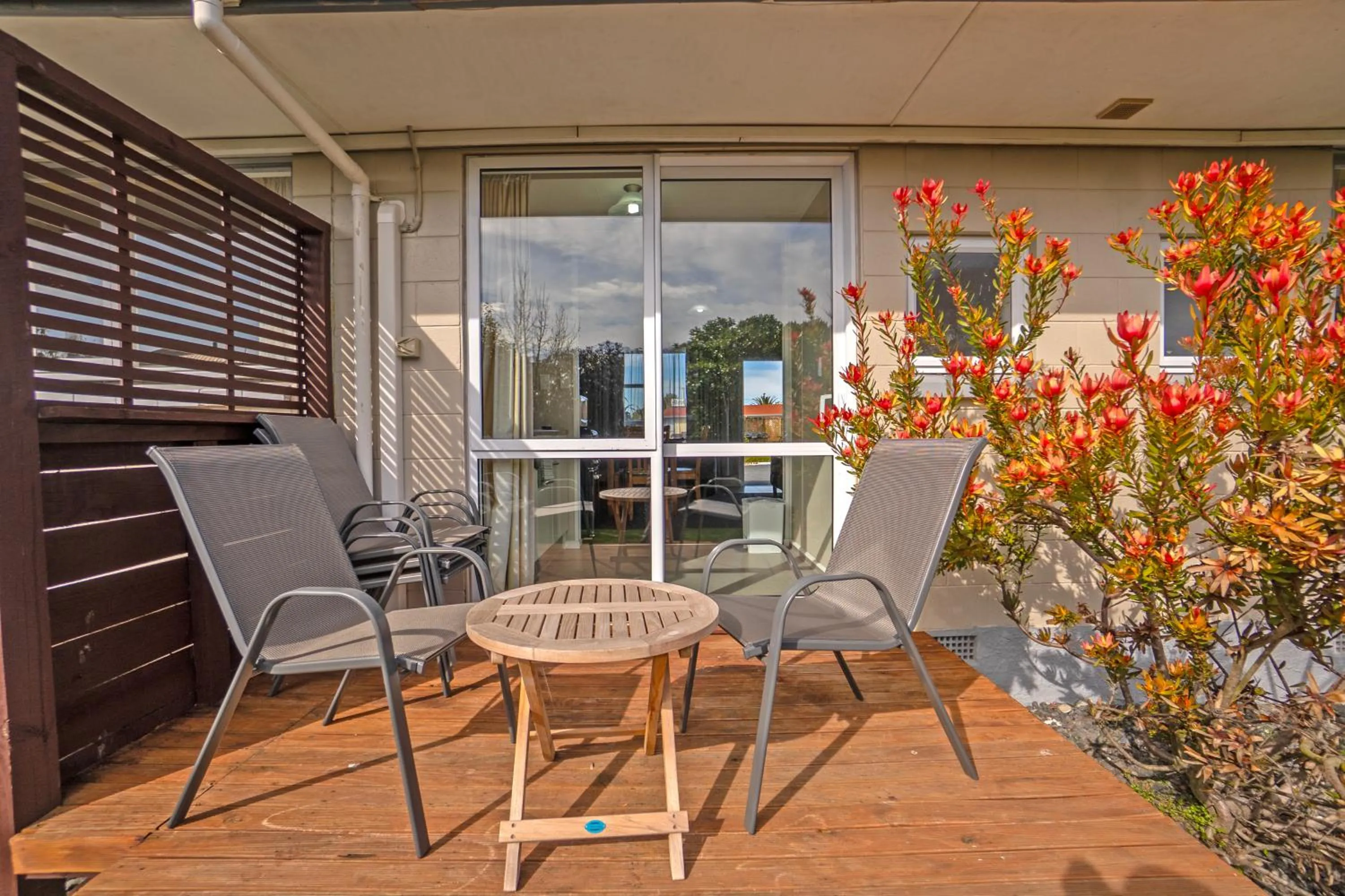 Garden in Kaikoura Motor Inn