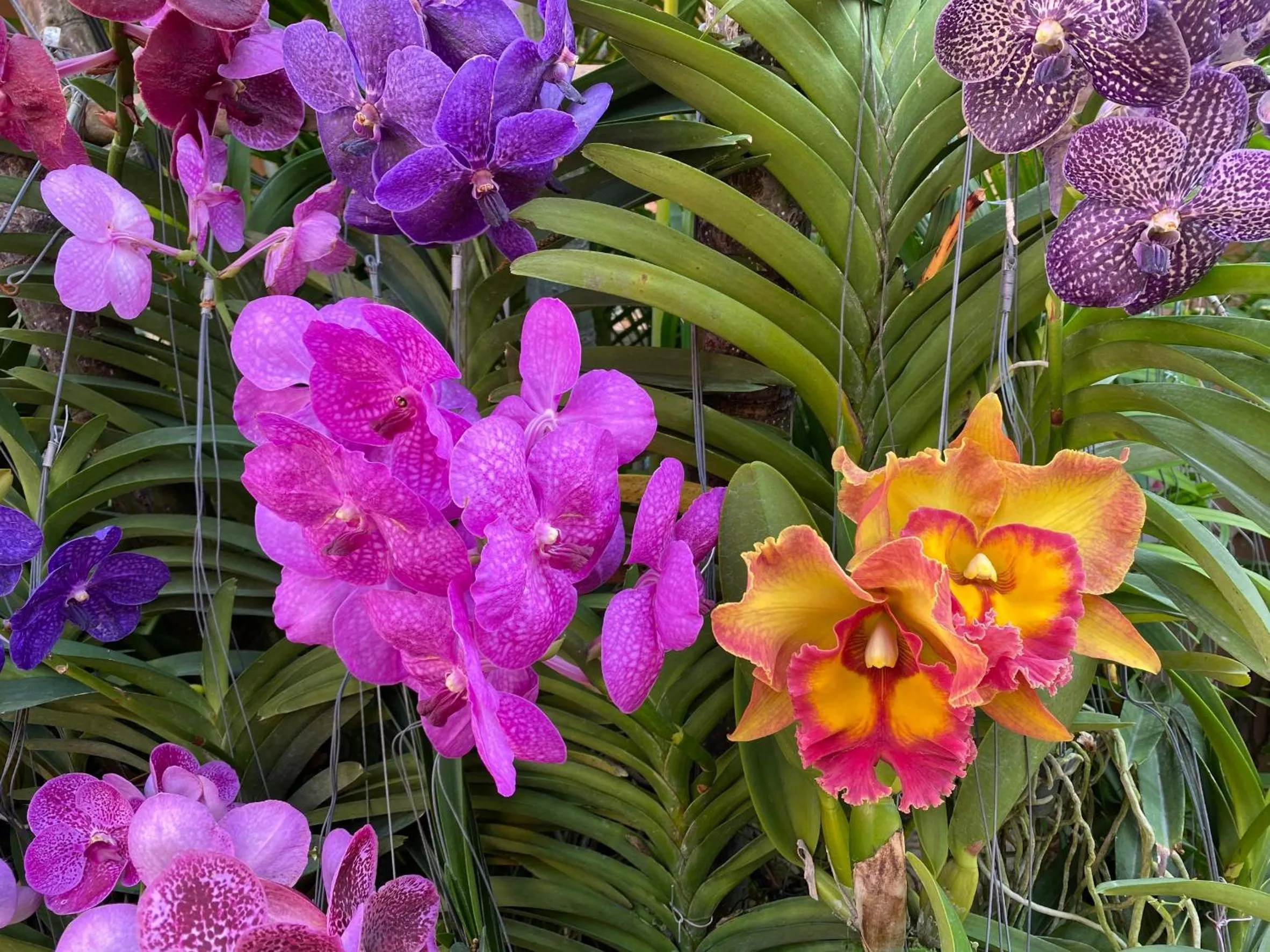 View (from property/room) in Anantasila Beach Resort Hua Hin