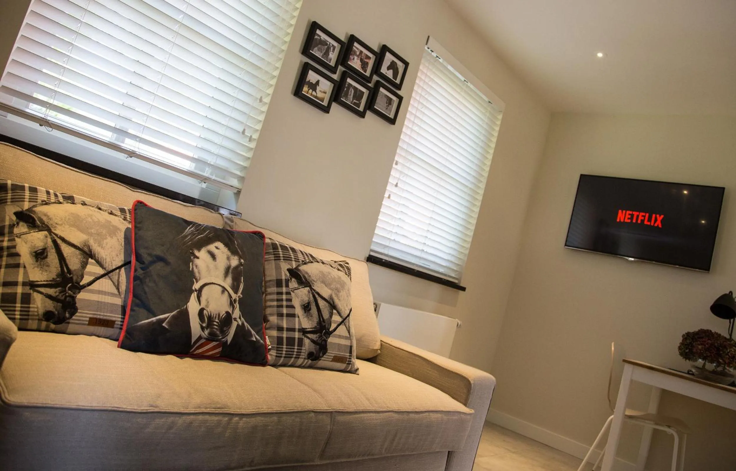 TV and multimedia in De Verloren Sinjoor