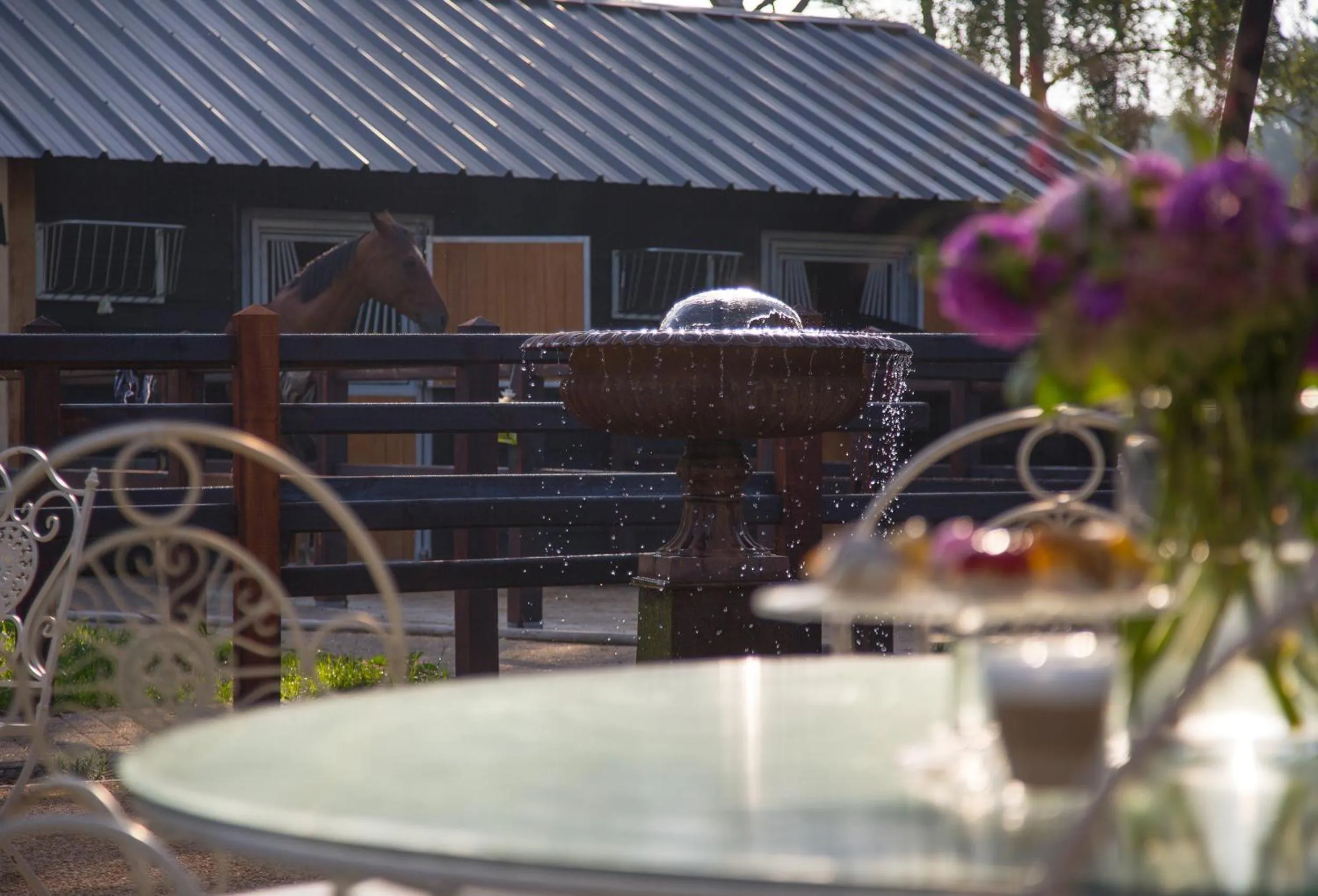 Garden view in De Verloren Sinjoor