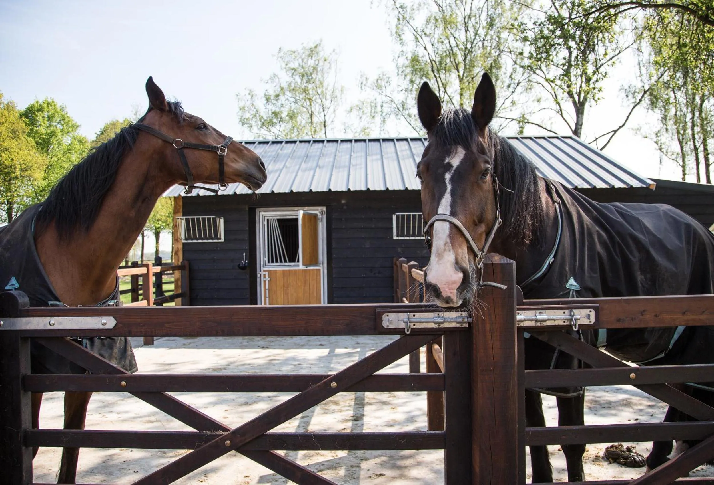 Horse-riding in De Verloren Sinjoor