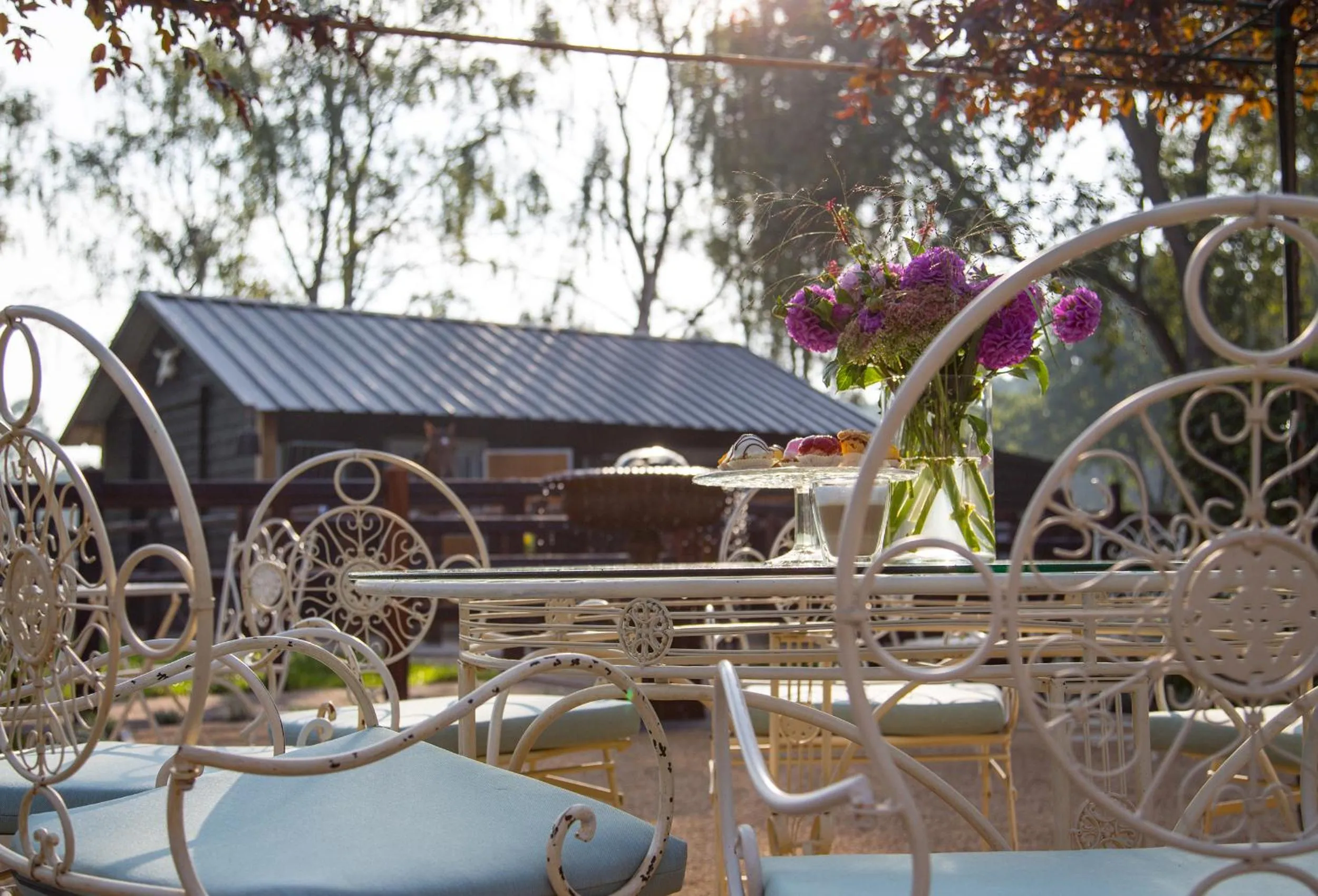 Garden in De Verloren Sinjoor