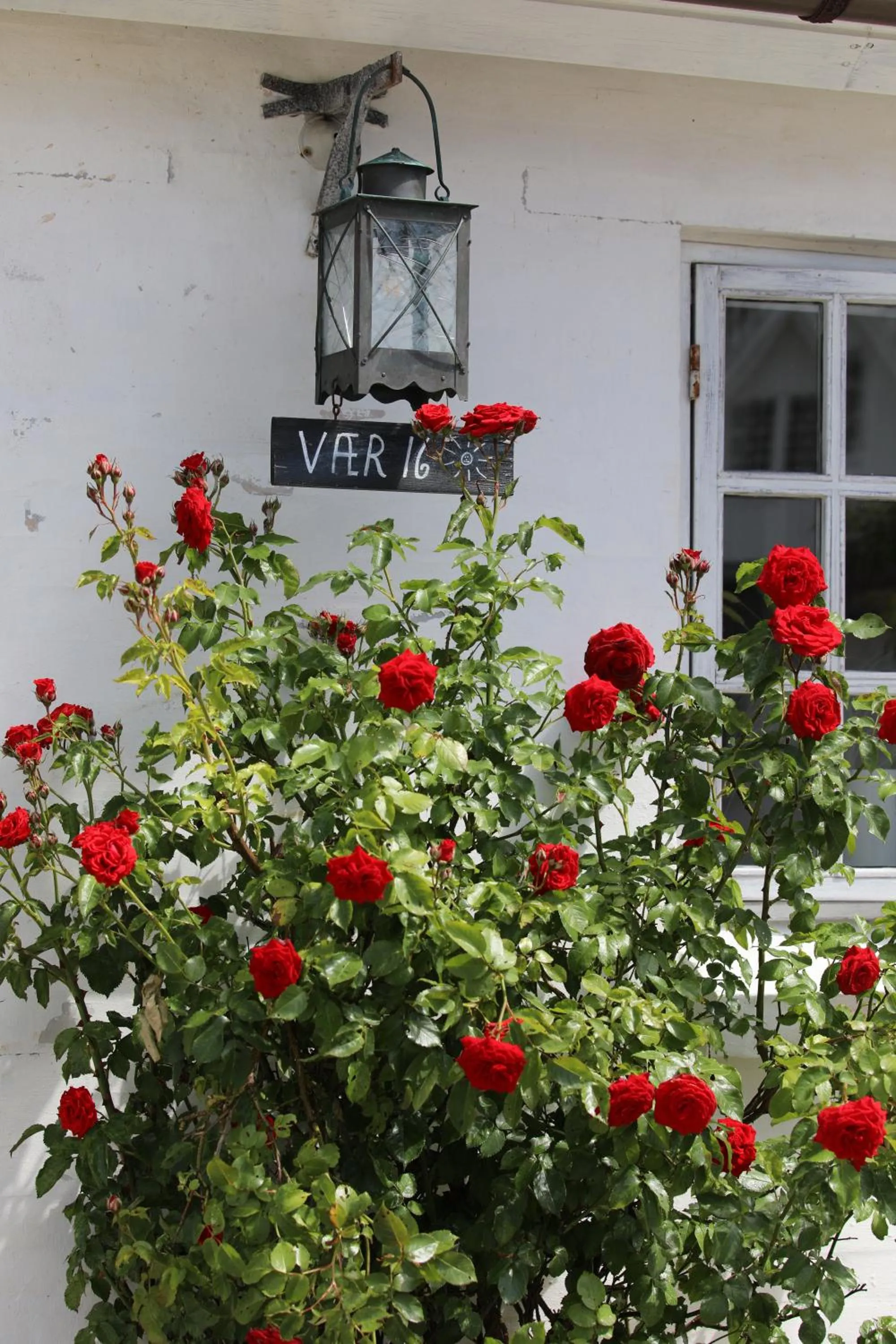 Balcony/Terrace in Gl. Brydegaard