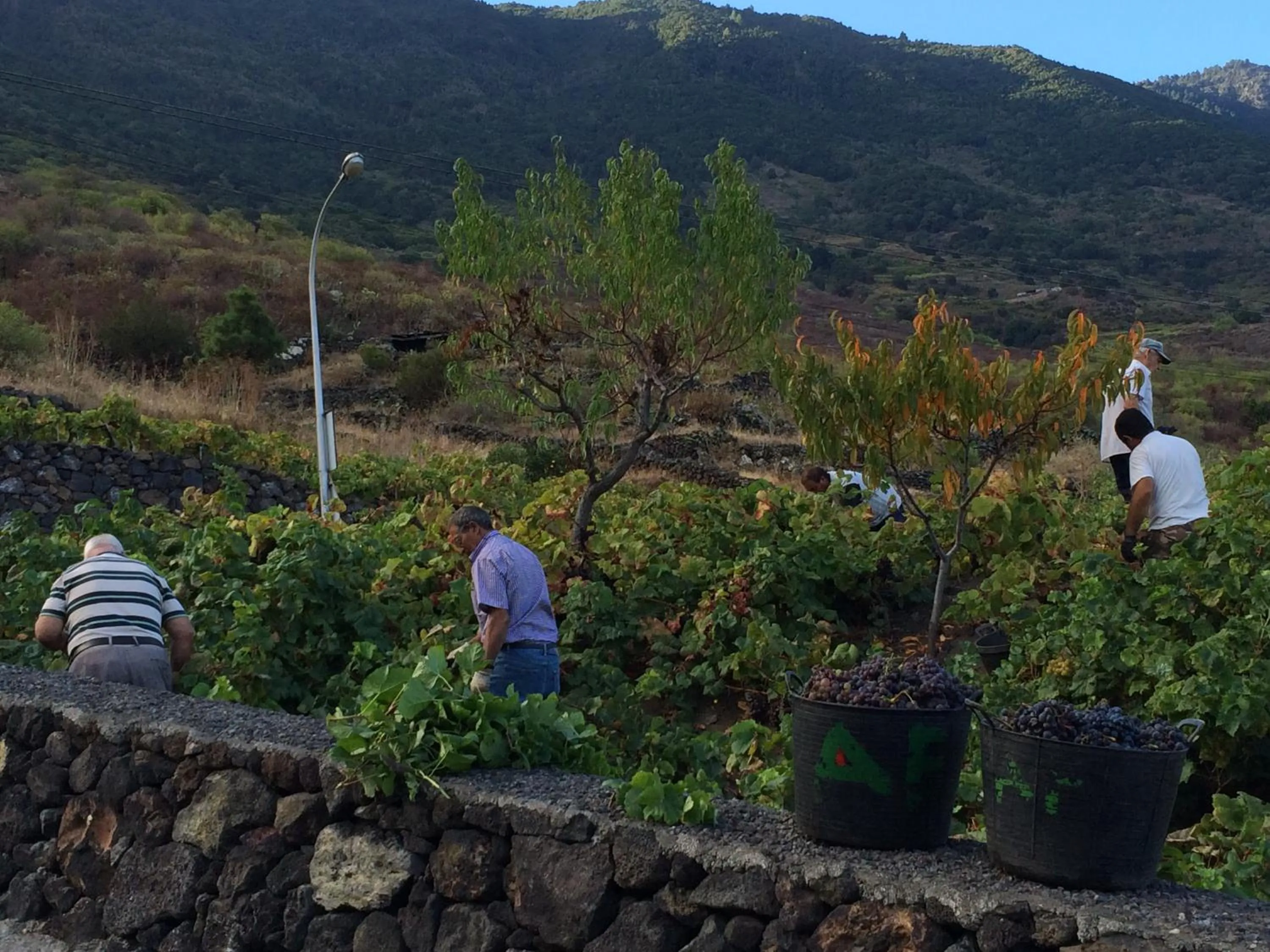 People in Hotel Ida Inés