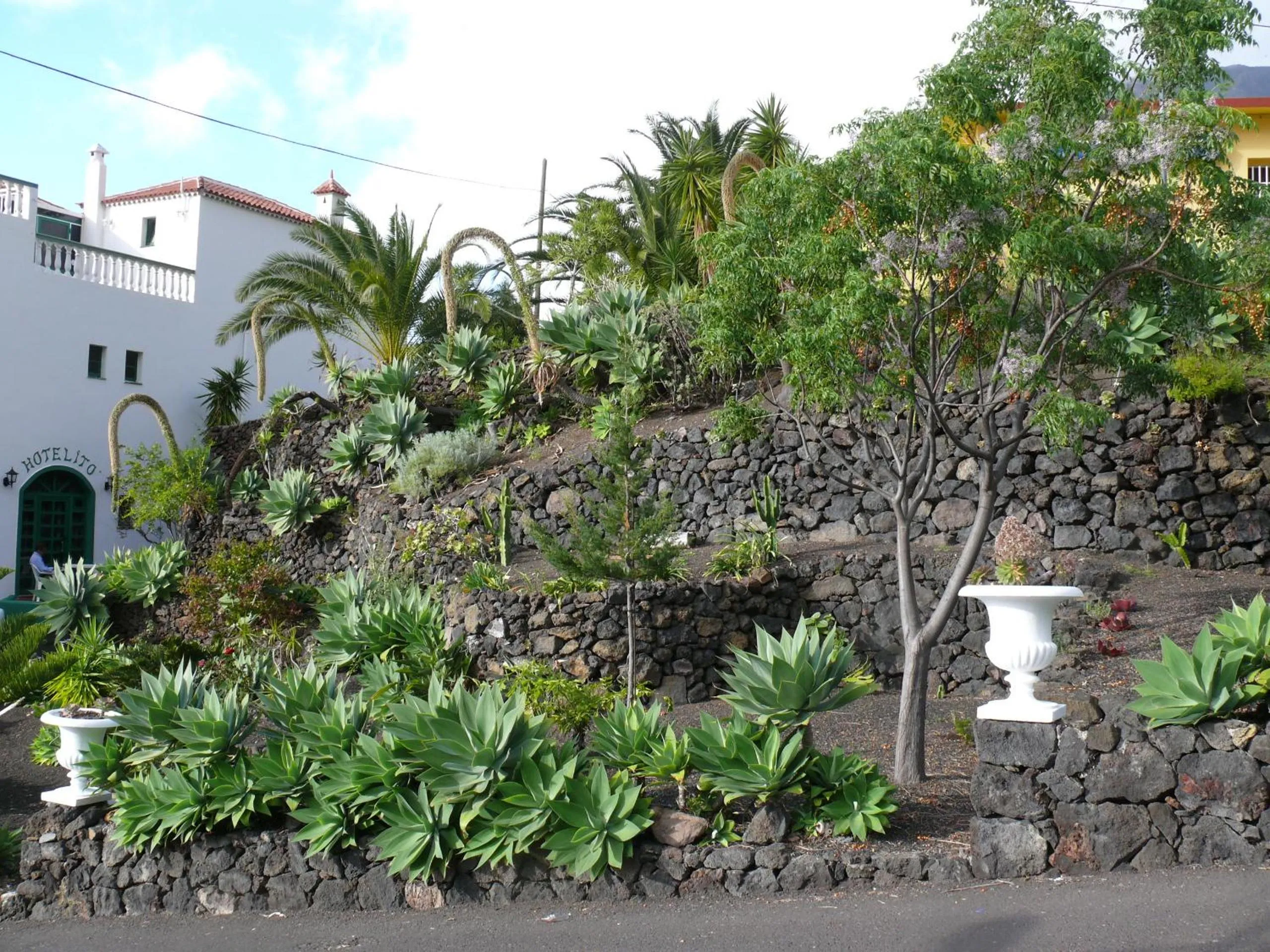 Garden in Hotel Ida Inés