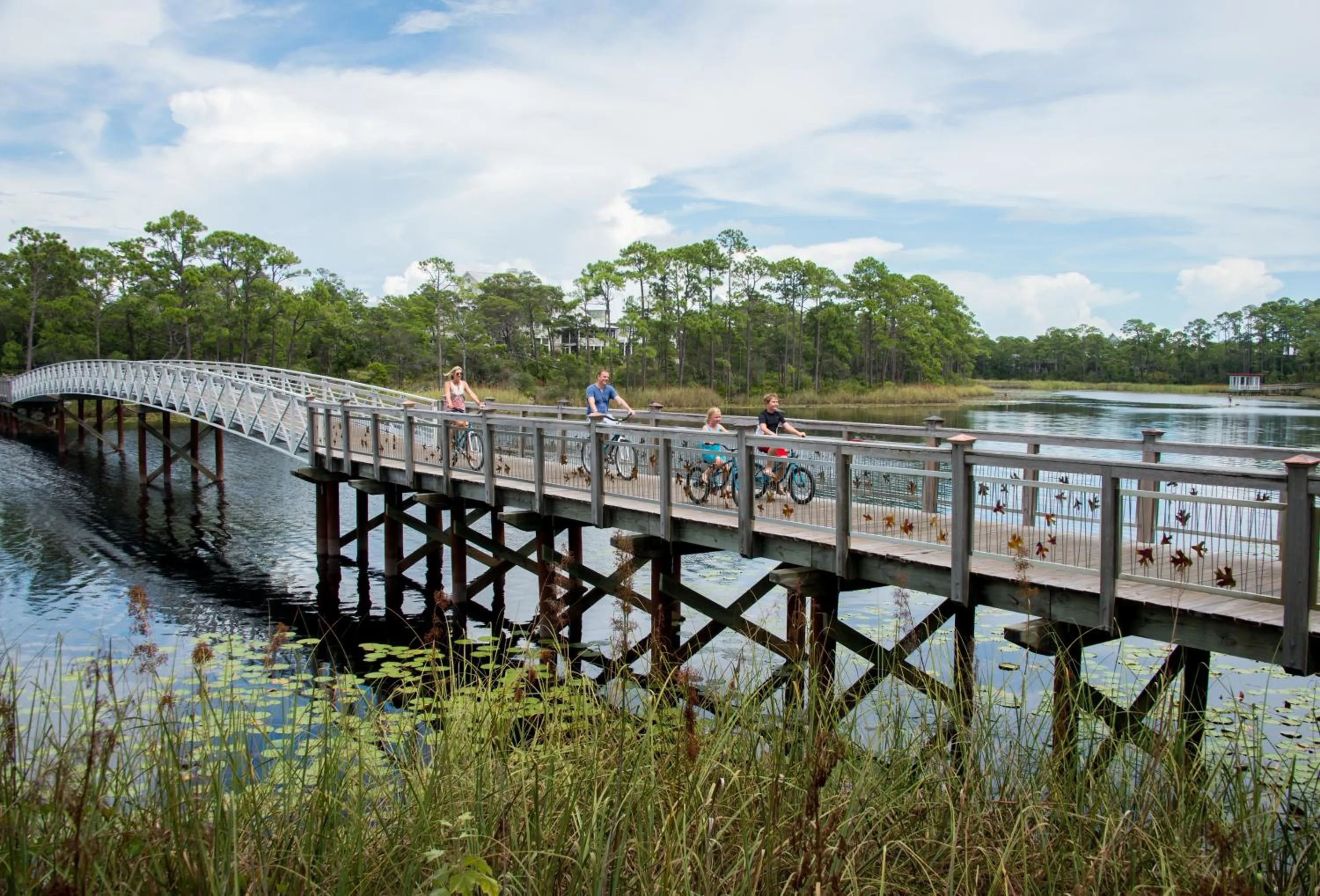 Natural landscape in WaterColor Inn & Resort
