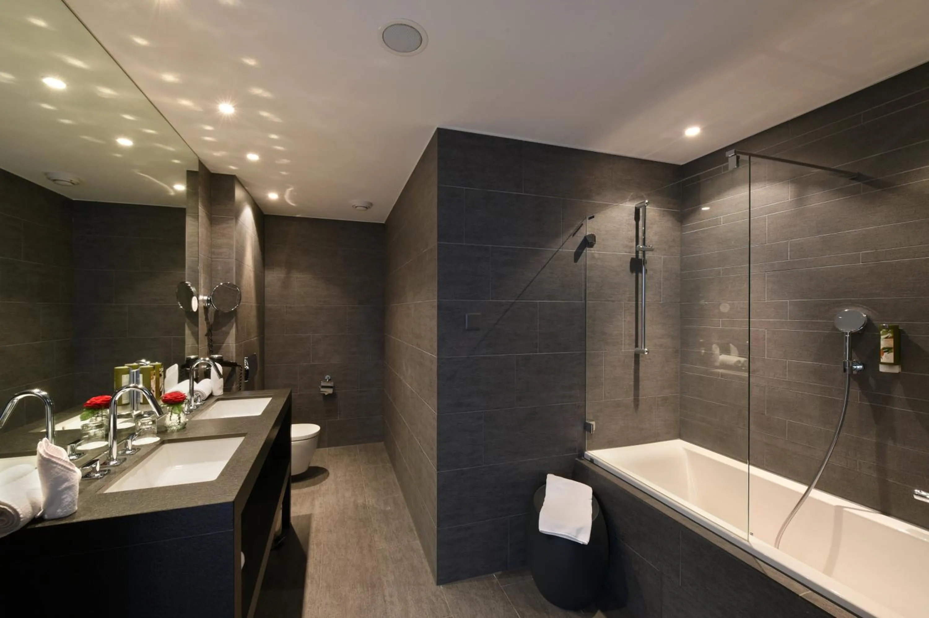 Hotel Vitznauerhof - Lifestyle Hideaway at Lake Lucerne