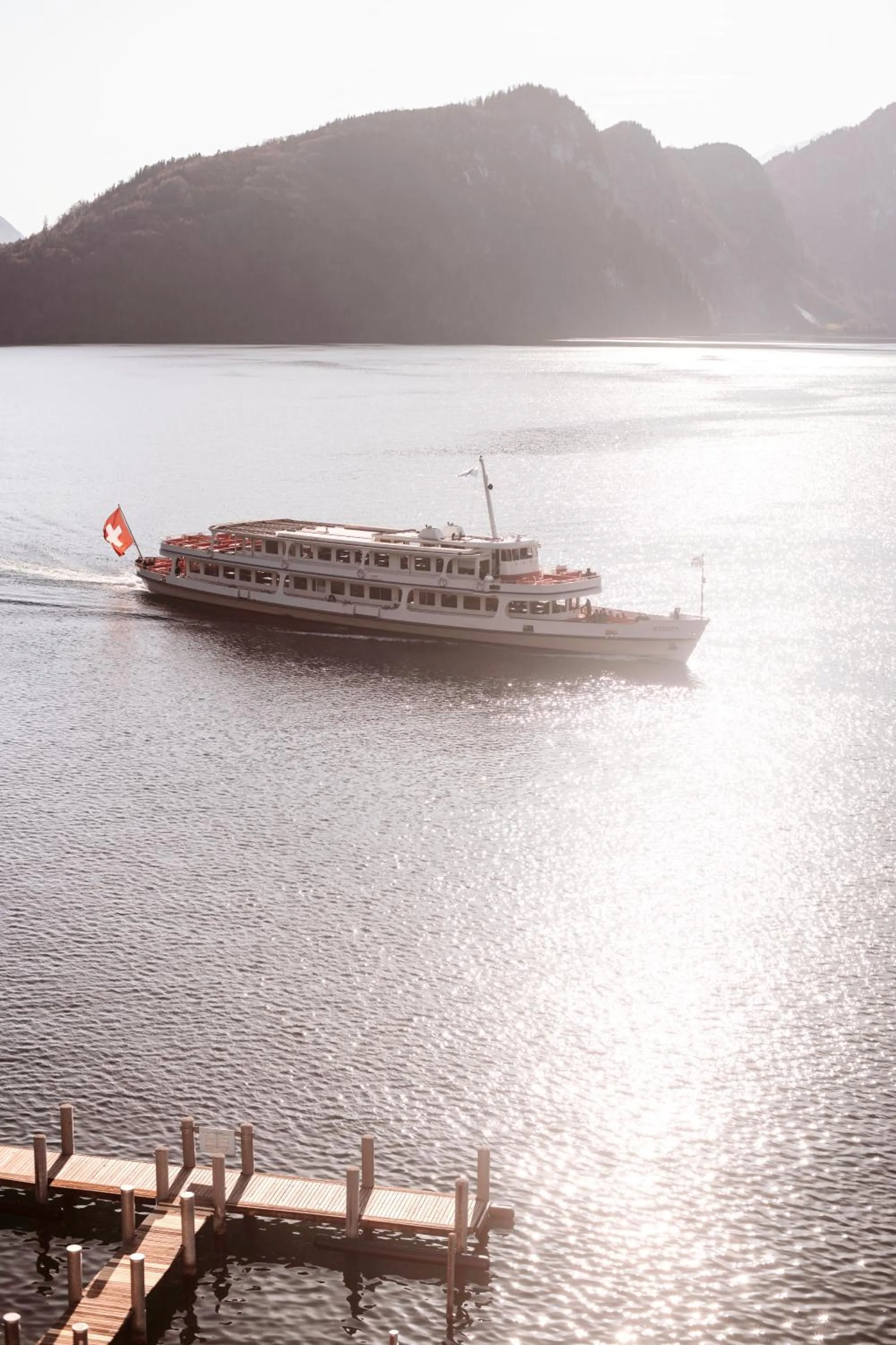 Natural landscape in Hotel Vitznauerhof - Lifestyle Hideaway at Lake Lucerne