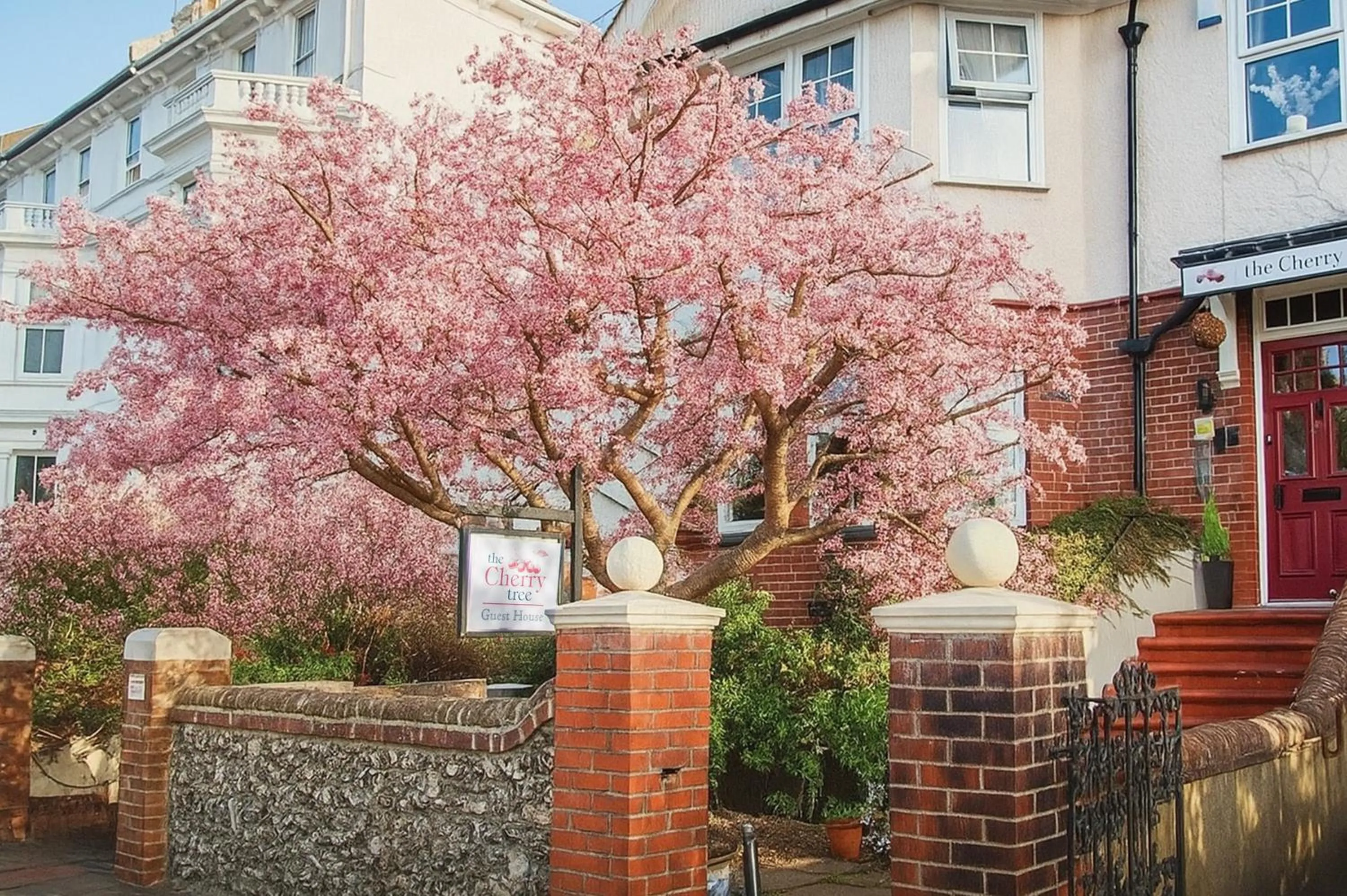 Facade/entrance in The Cherry Tree Guest House