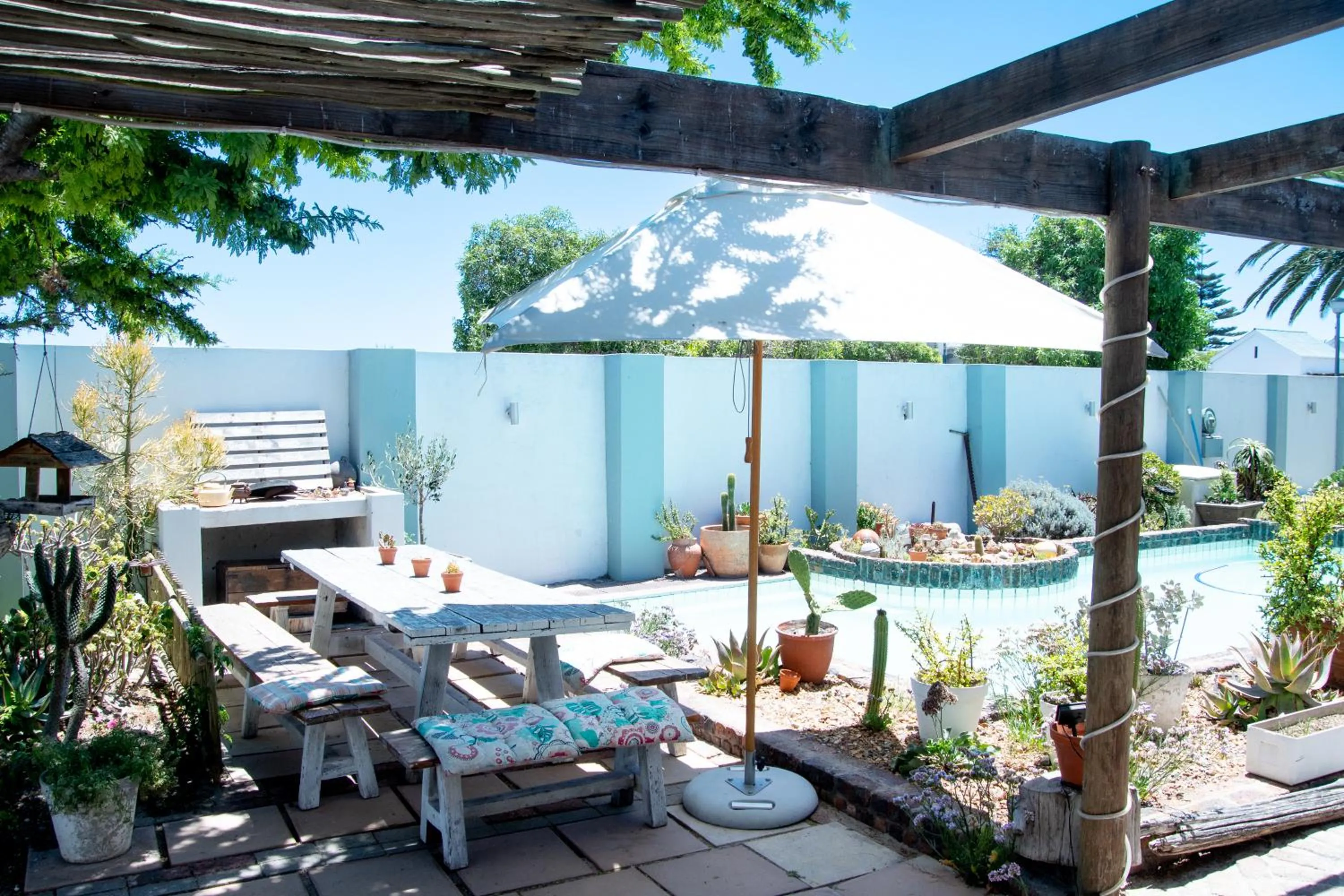 Garden in Langebaan-On-Sea