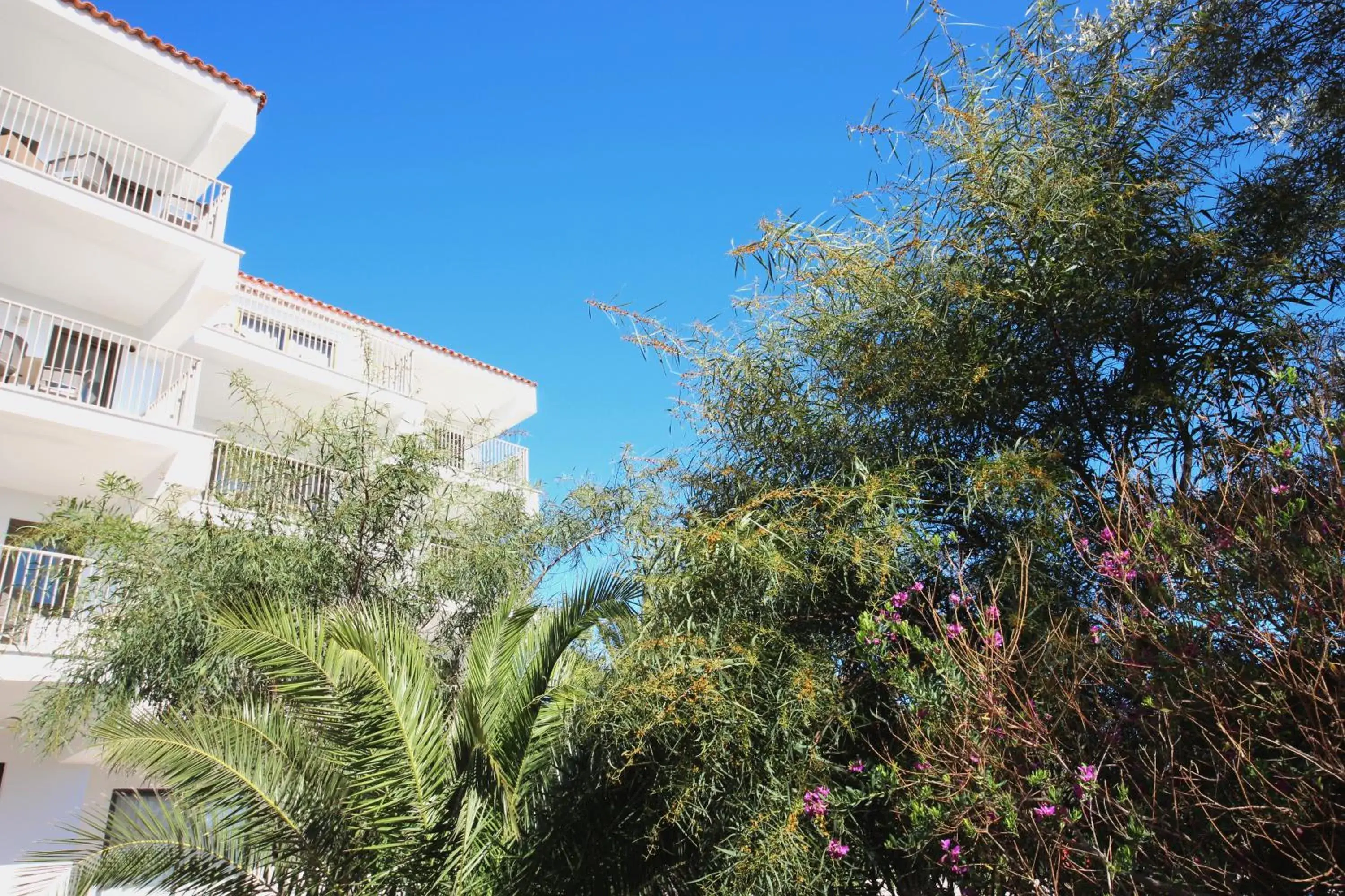 Property building in Aparthotel Niu d´Aus Property building in Aparthotel Niu d´Aus