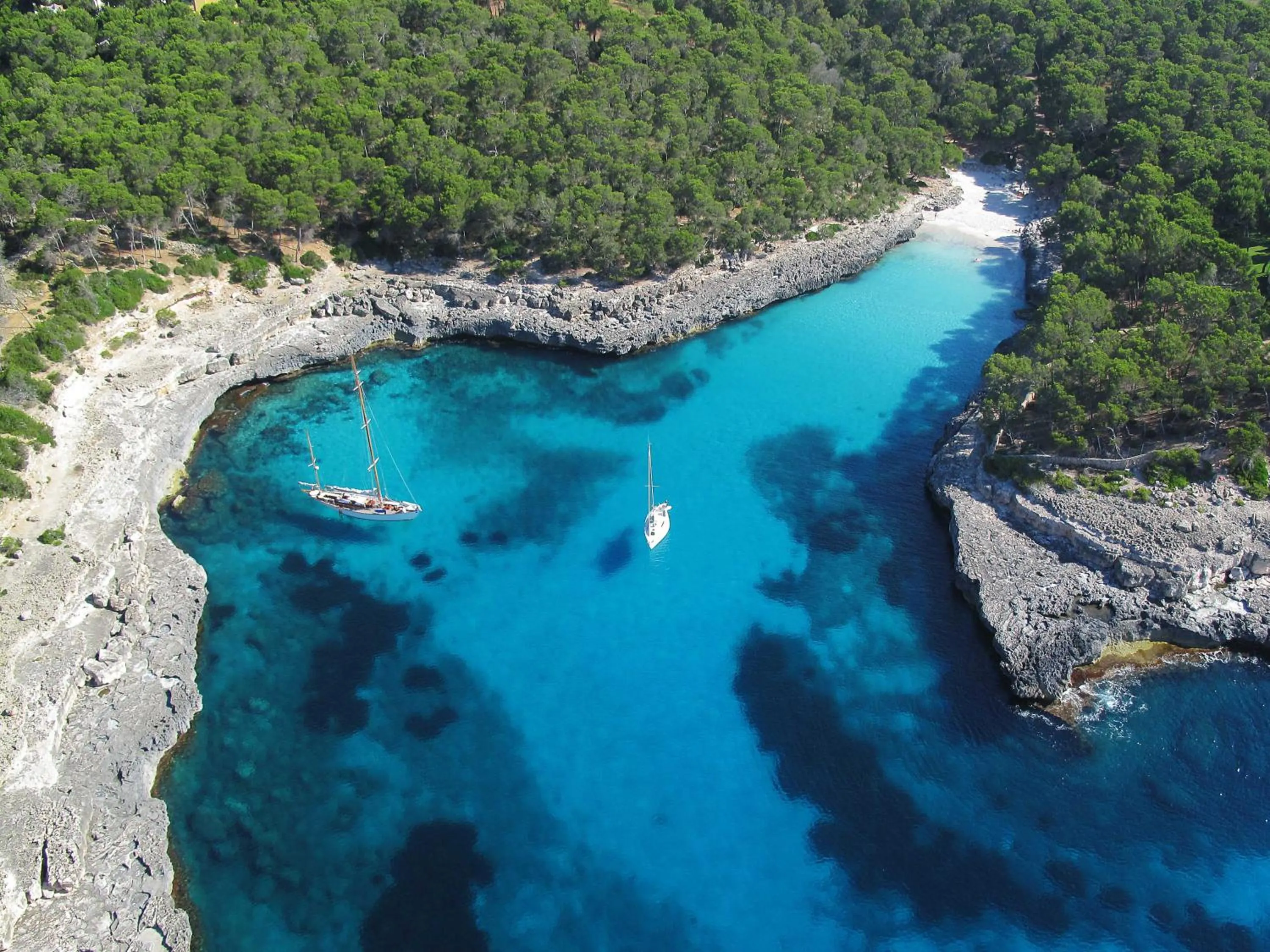 Natural landscape in Aparthotel Niu d´Aus