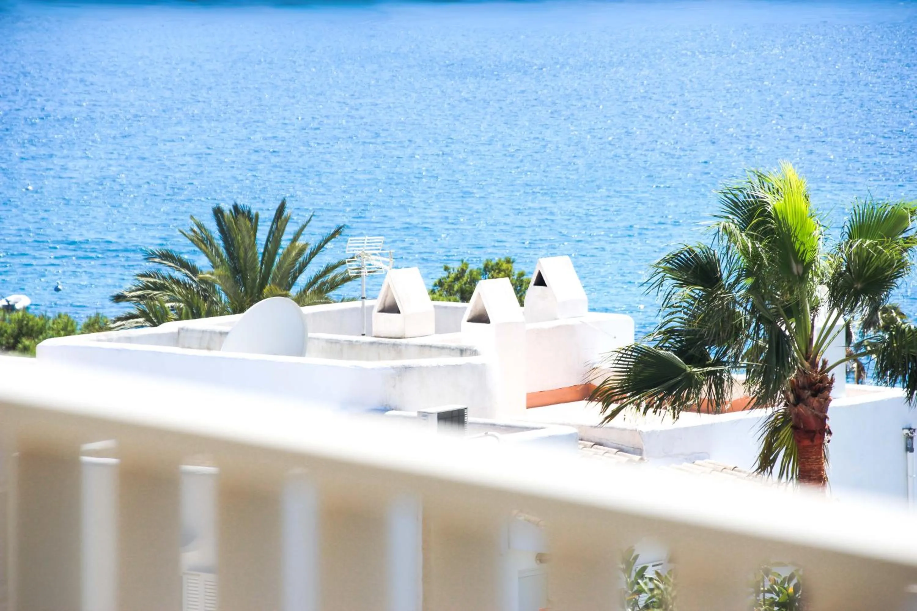 Balcony/Terrace in Aparthotel Niu d´Aus