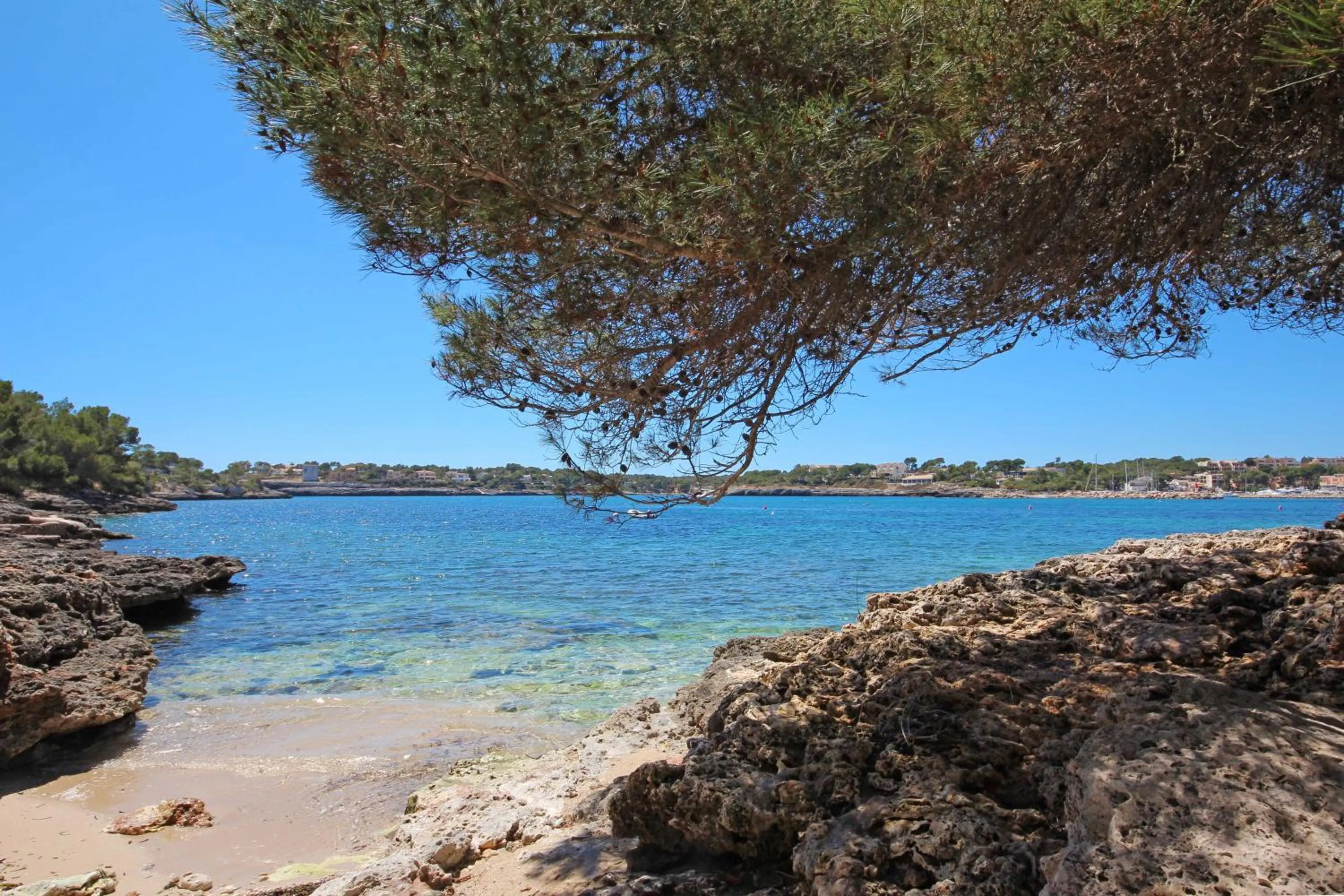 Natural landscape in Aparthotel Niu d´Aus