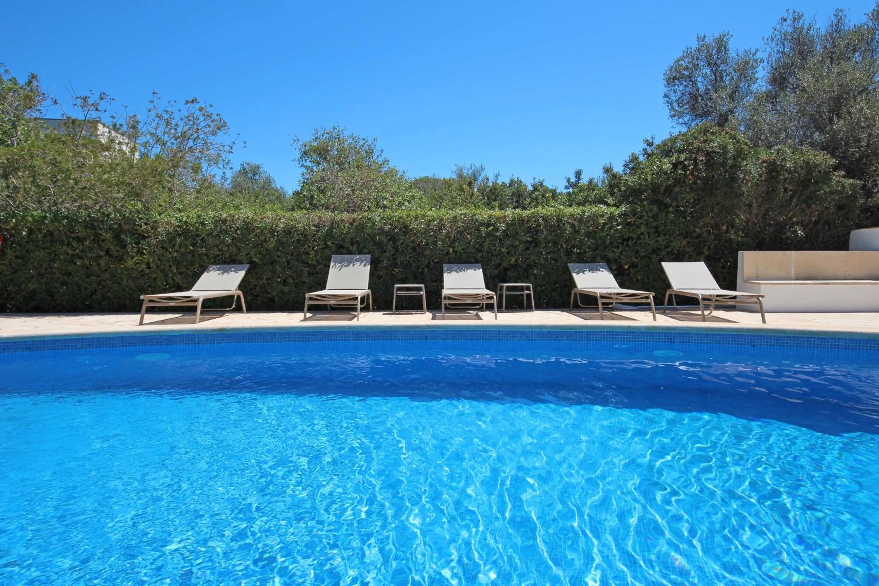 Area and facilities in Aparthotel Niu d´Aus