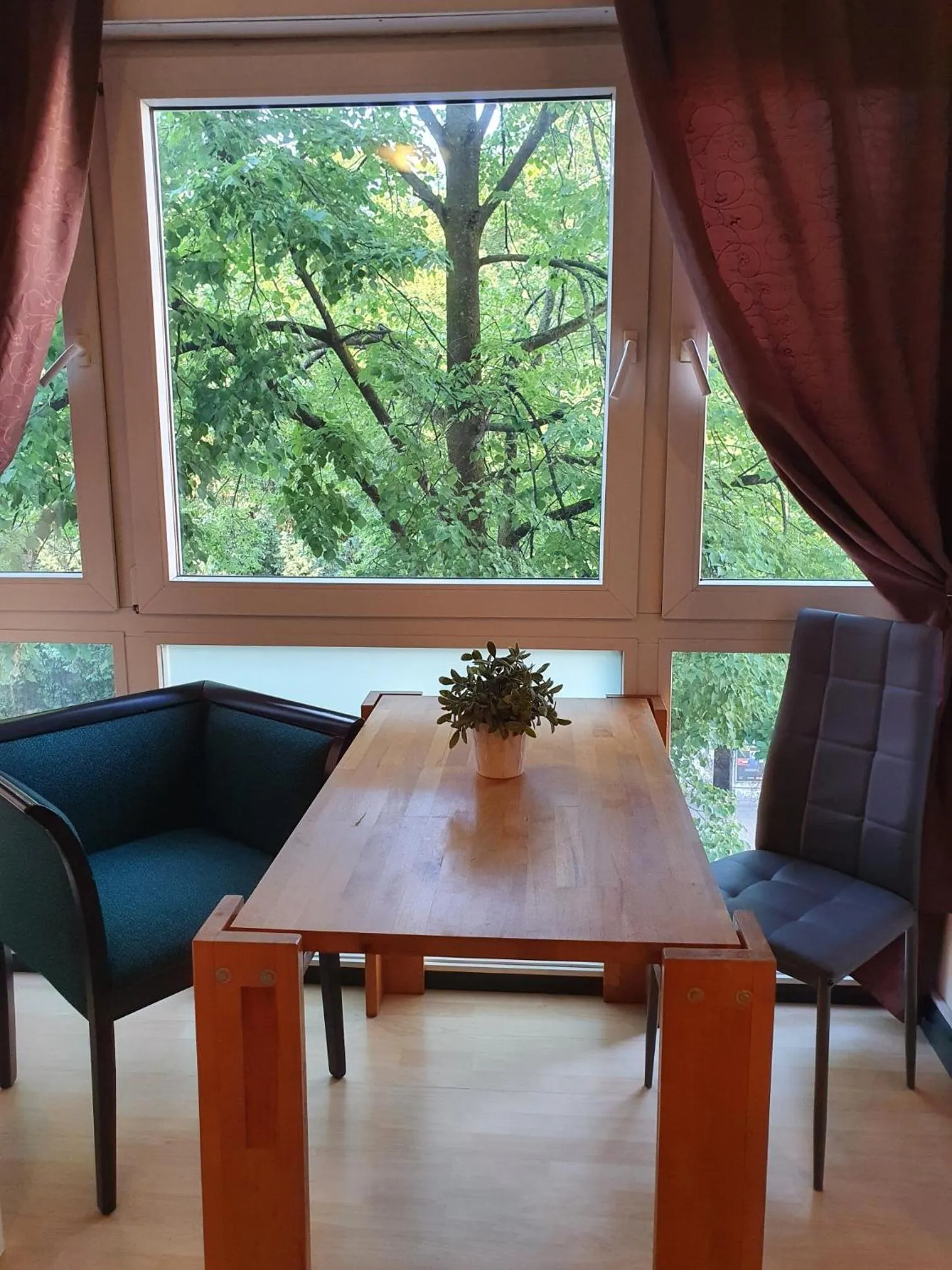 View (from property/room) in CityPark Hotel