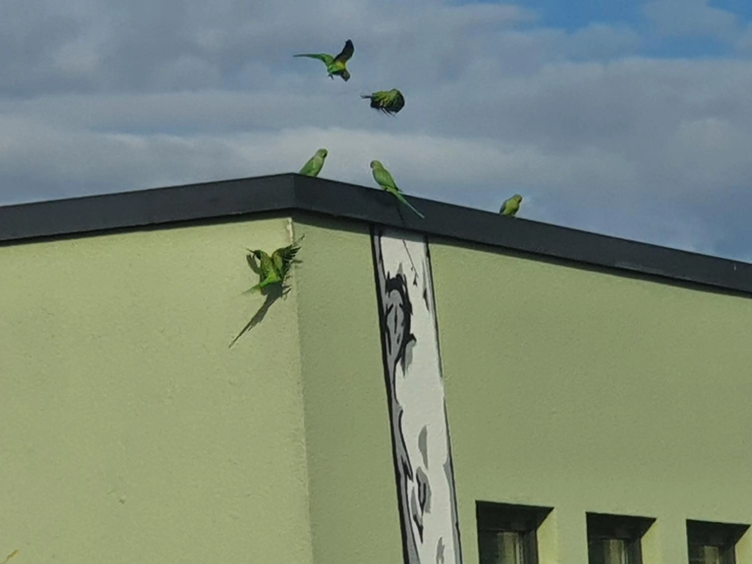 View (from property/room) in CityPark Hotel