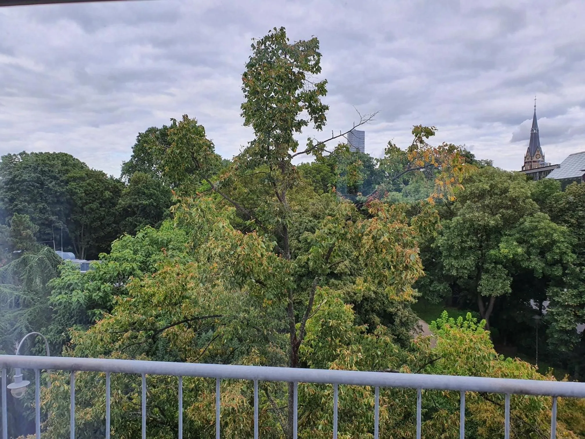 Garden view in CityPark Hotel