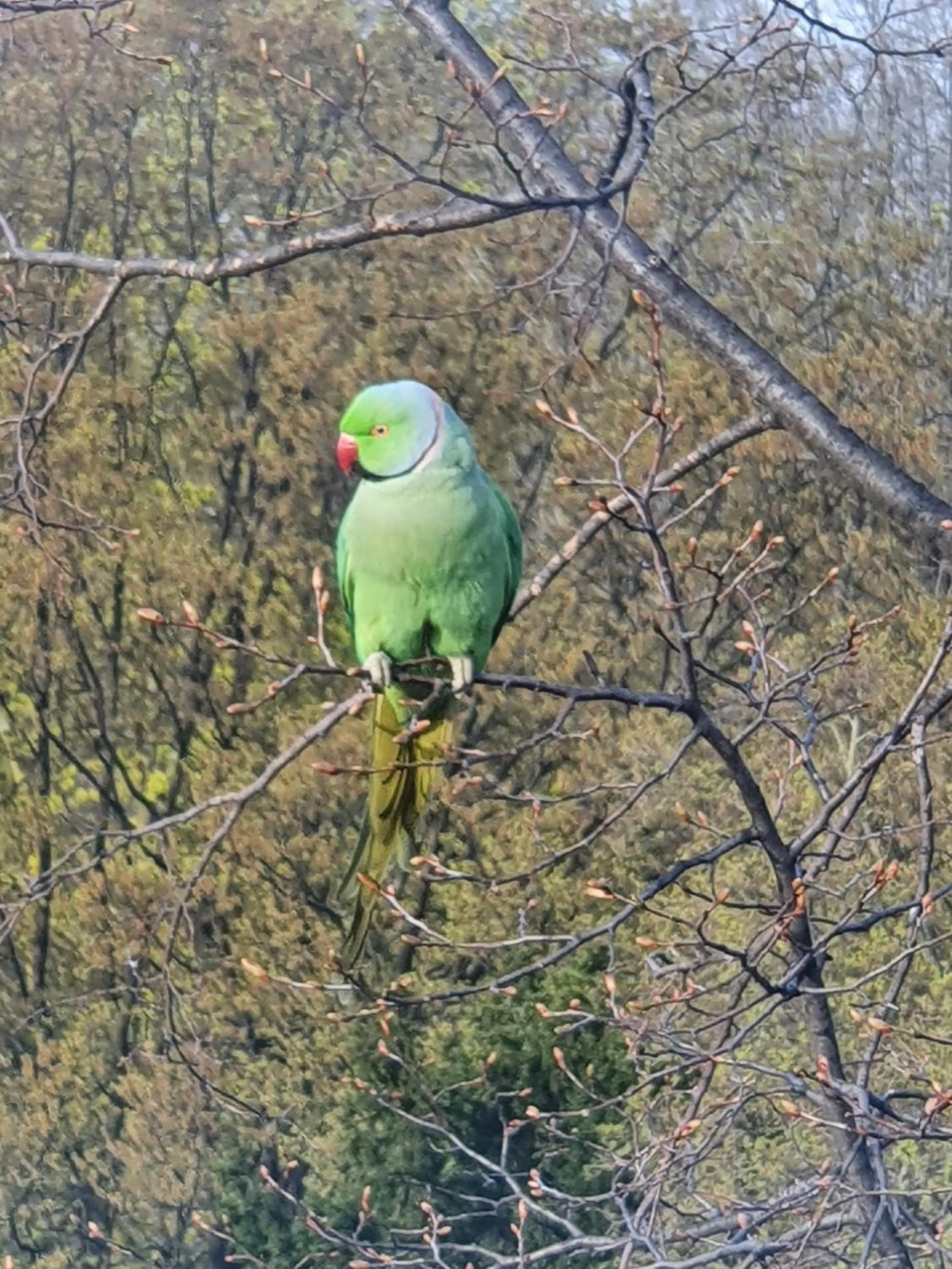 View (from property/room) in CityPark Hotel
