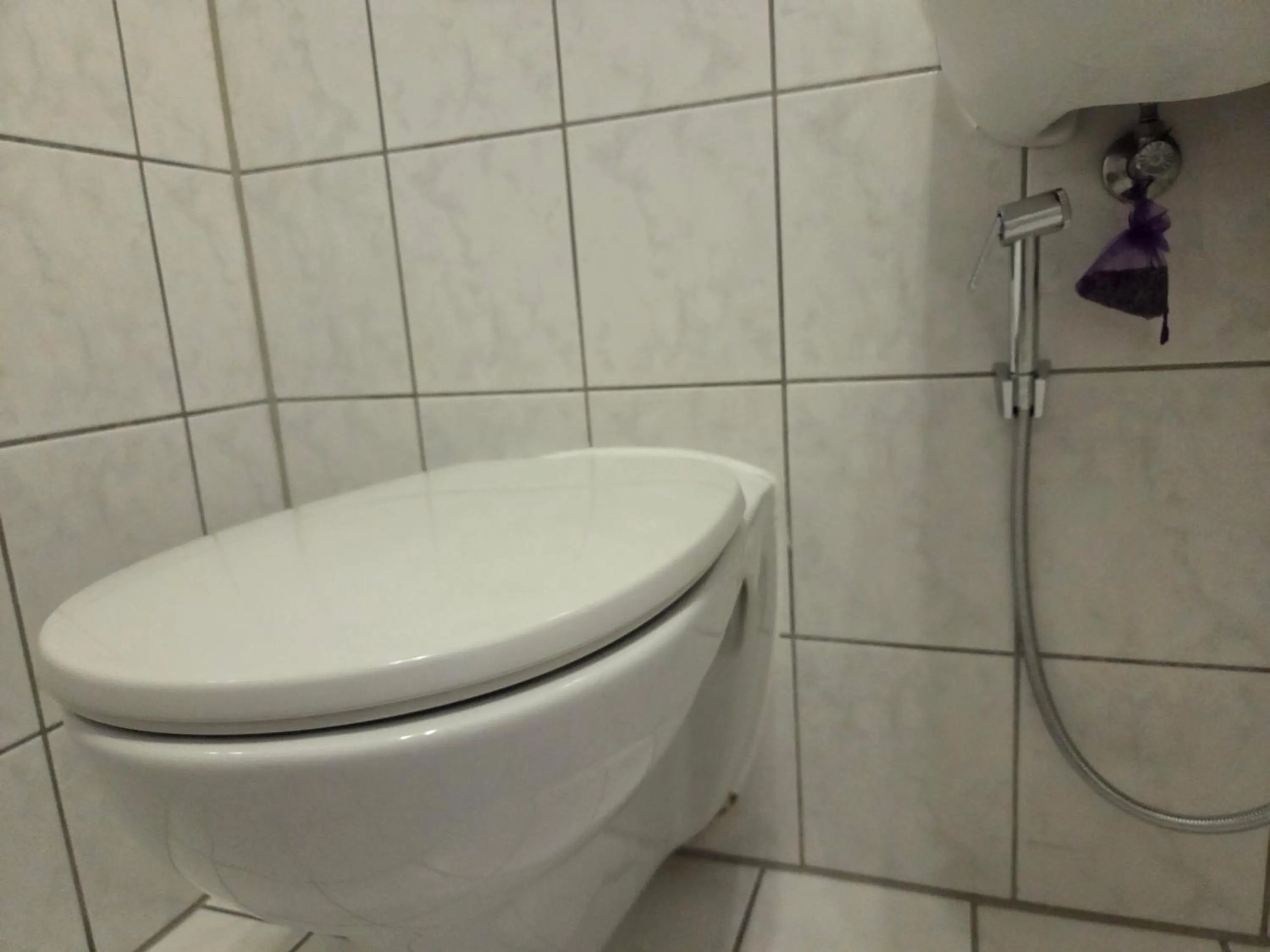 bidet in CityPark Hotel