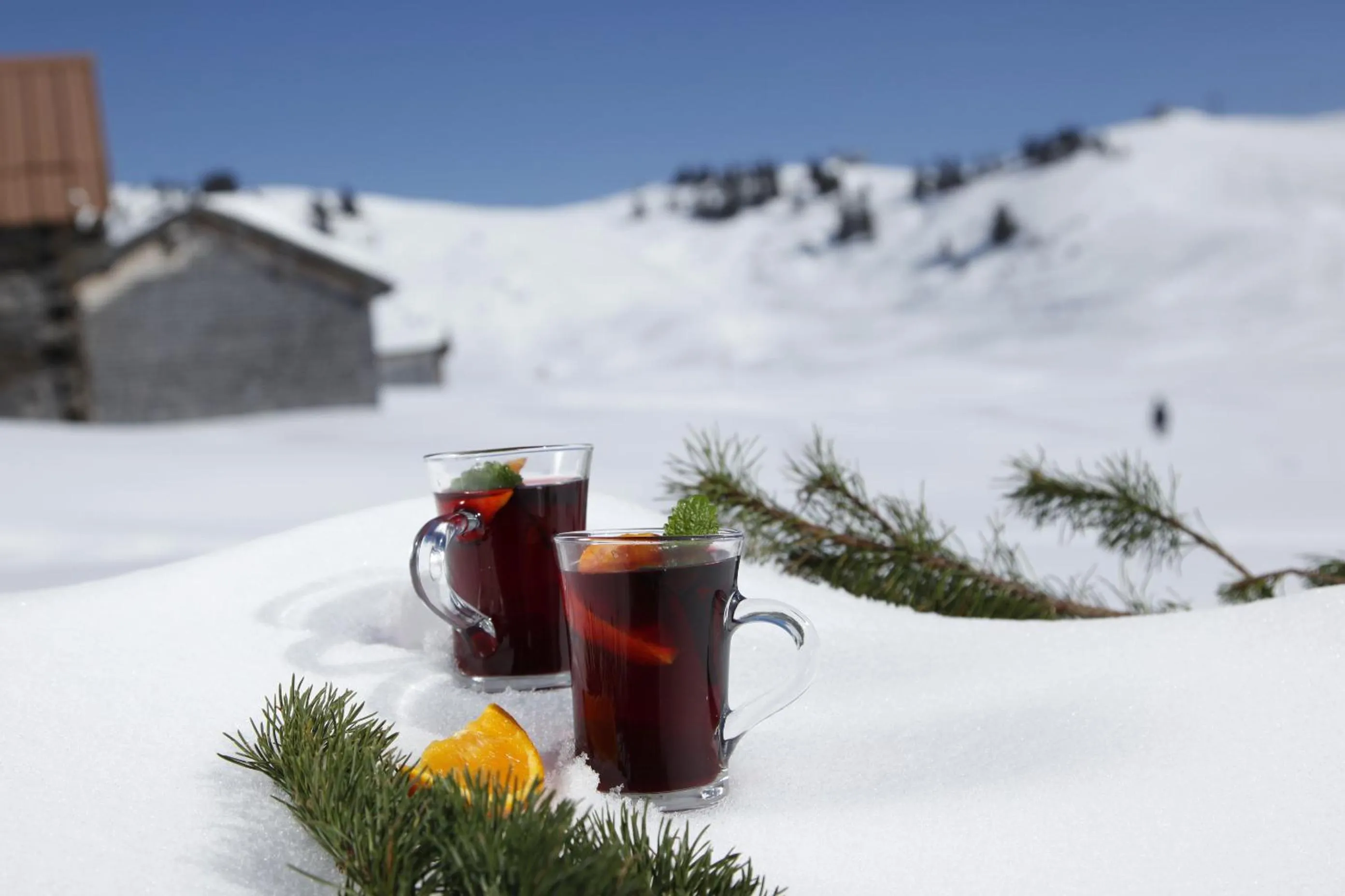 Drinks in Alpine Lifestyle Berghotel Madlener