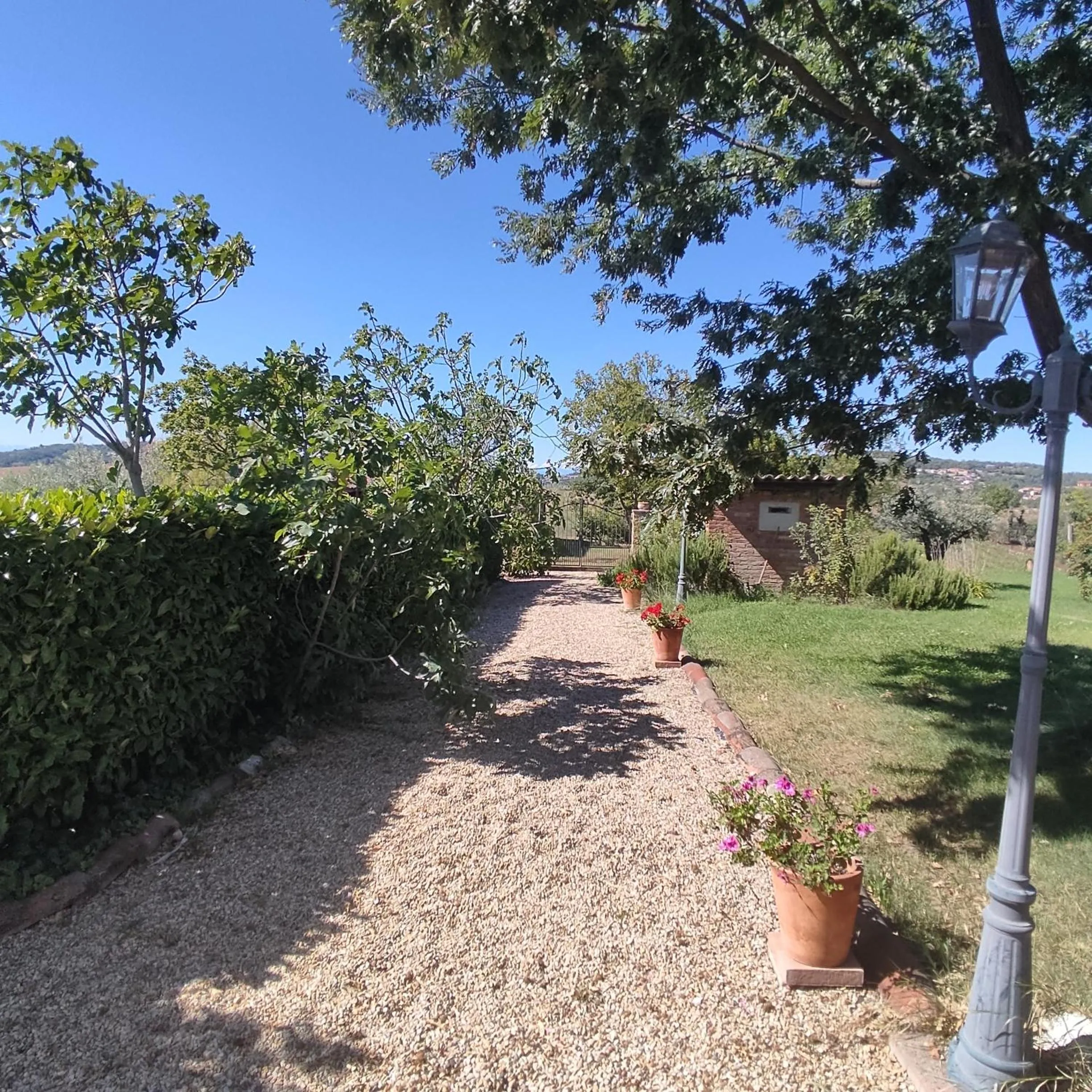 Garden in Country House Montessino - adults only