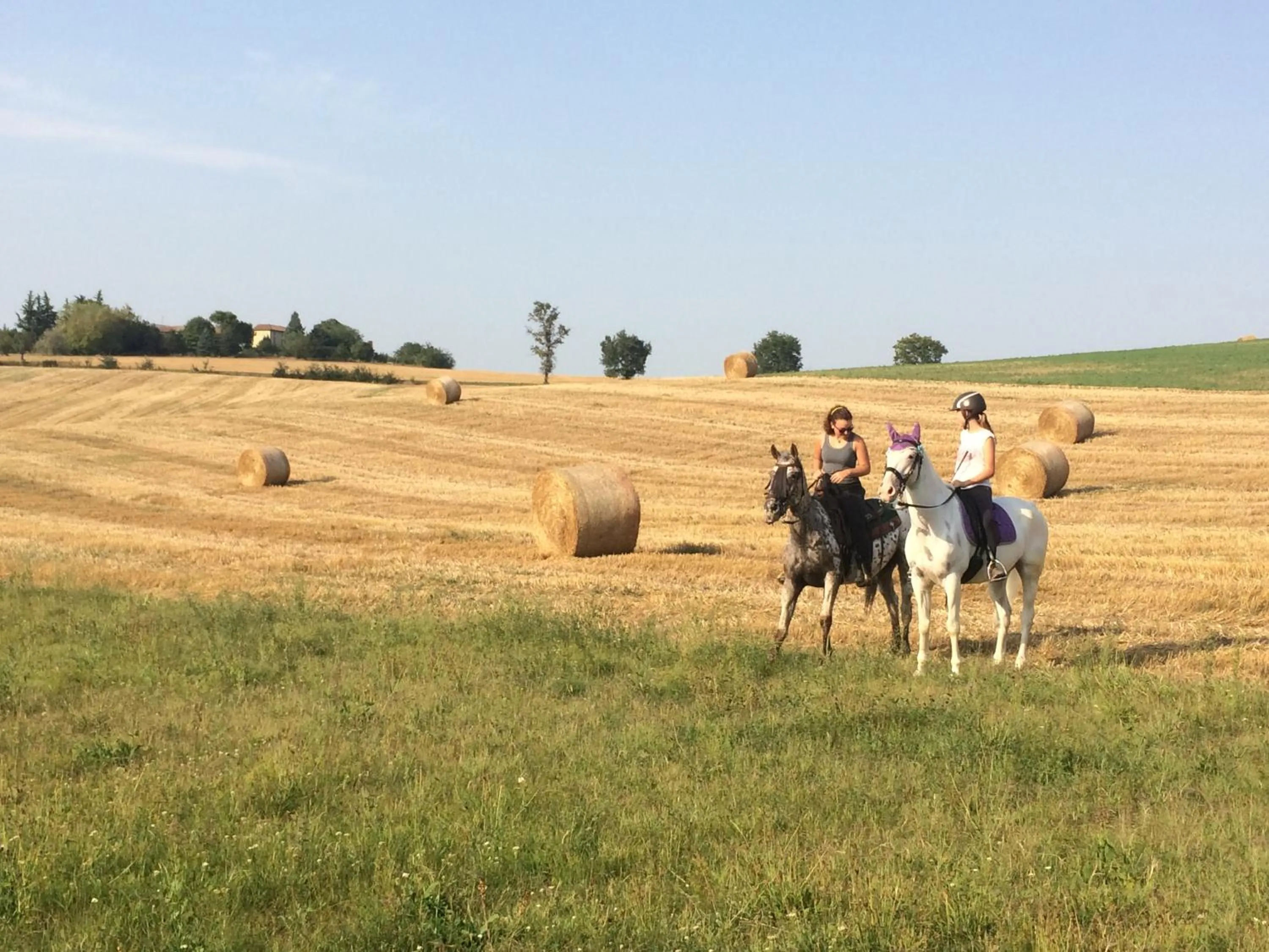 Horse-riding in Country House Montessino - adults only