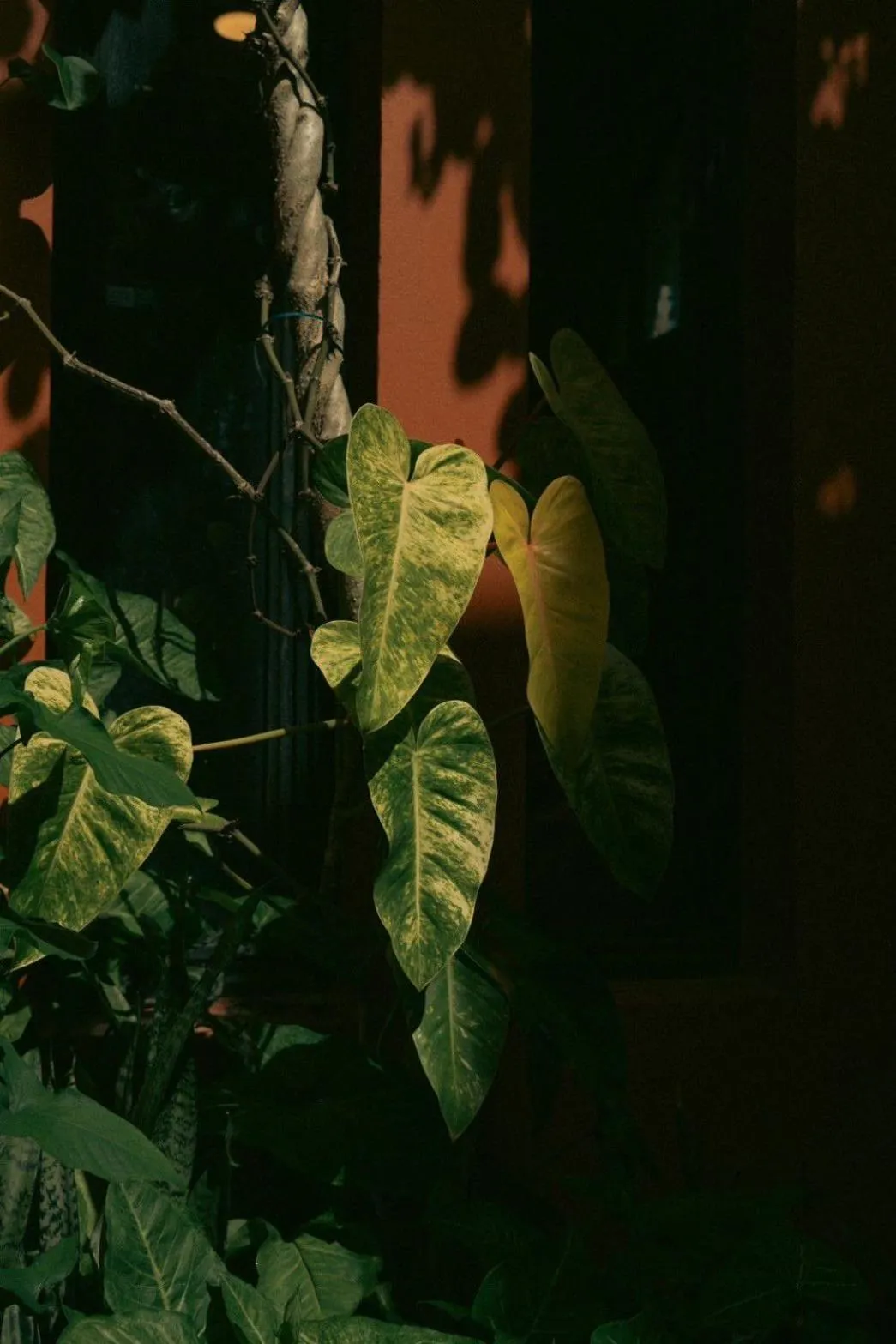 Property building in Baansuanprannok Hotel