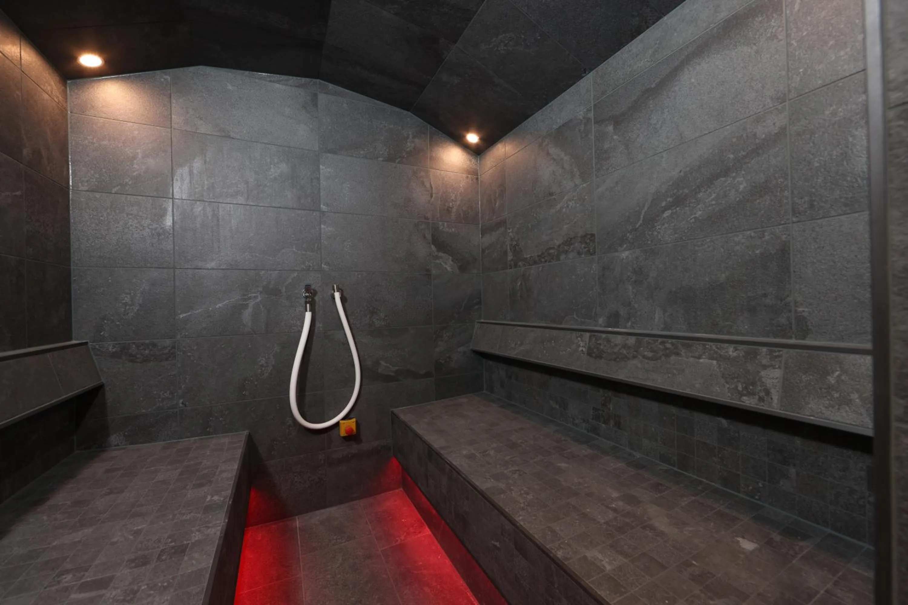 Swimming pool in Hotel Bayerischer Hof