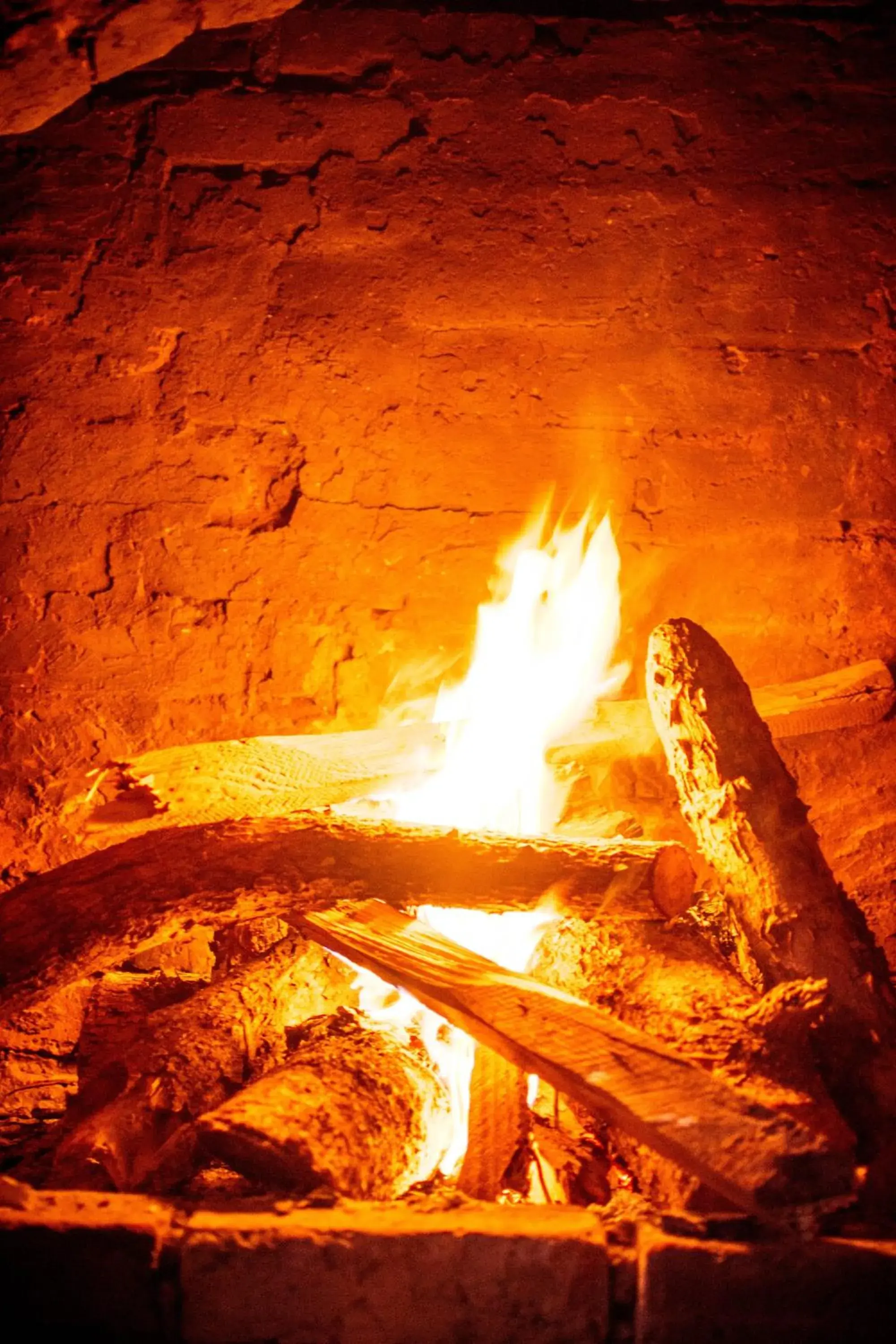 Lounge or bar in Masailand Safari Lodge Lounge or bar in Masailand Safari Lodge