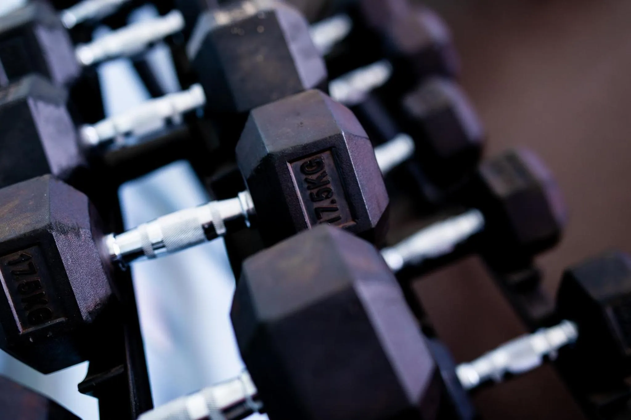 Fitness centre/facilities in Masailand Safari Lodge