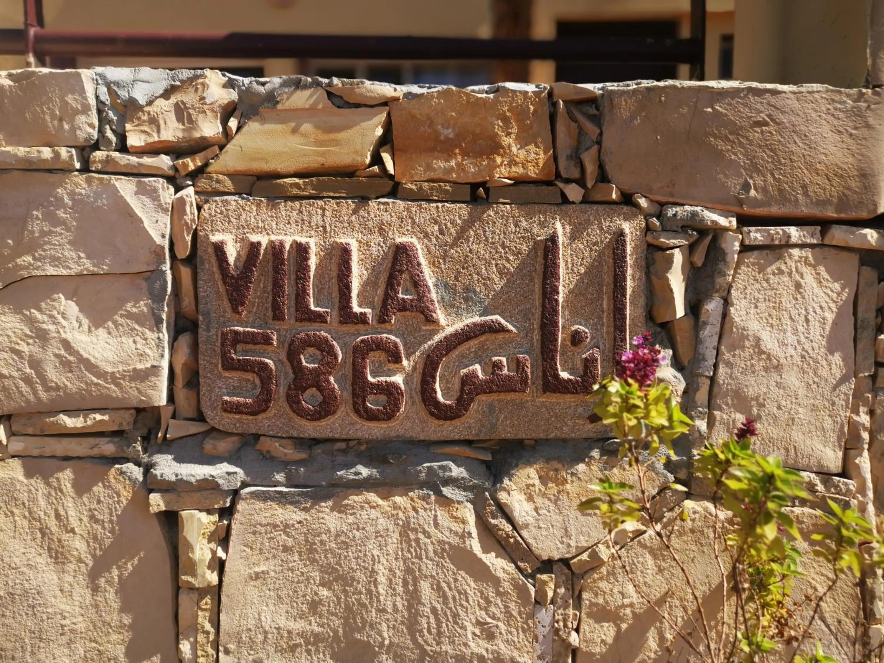 Facade/entrance in Travel Surf Morocco