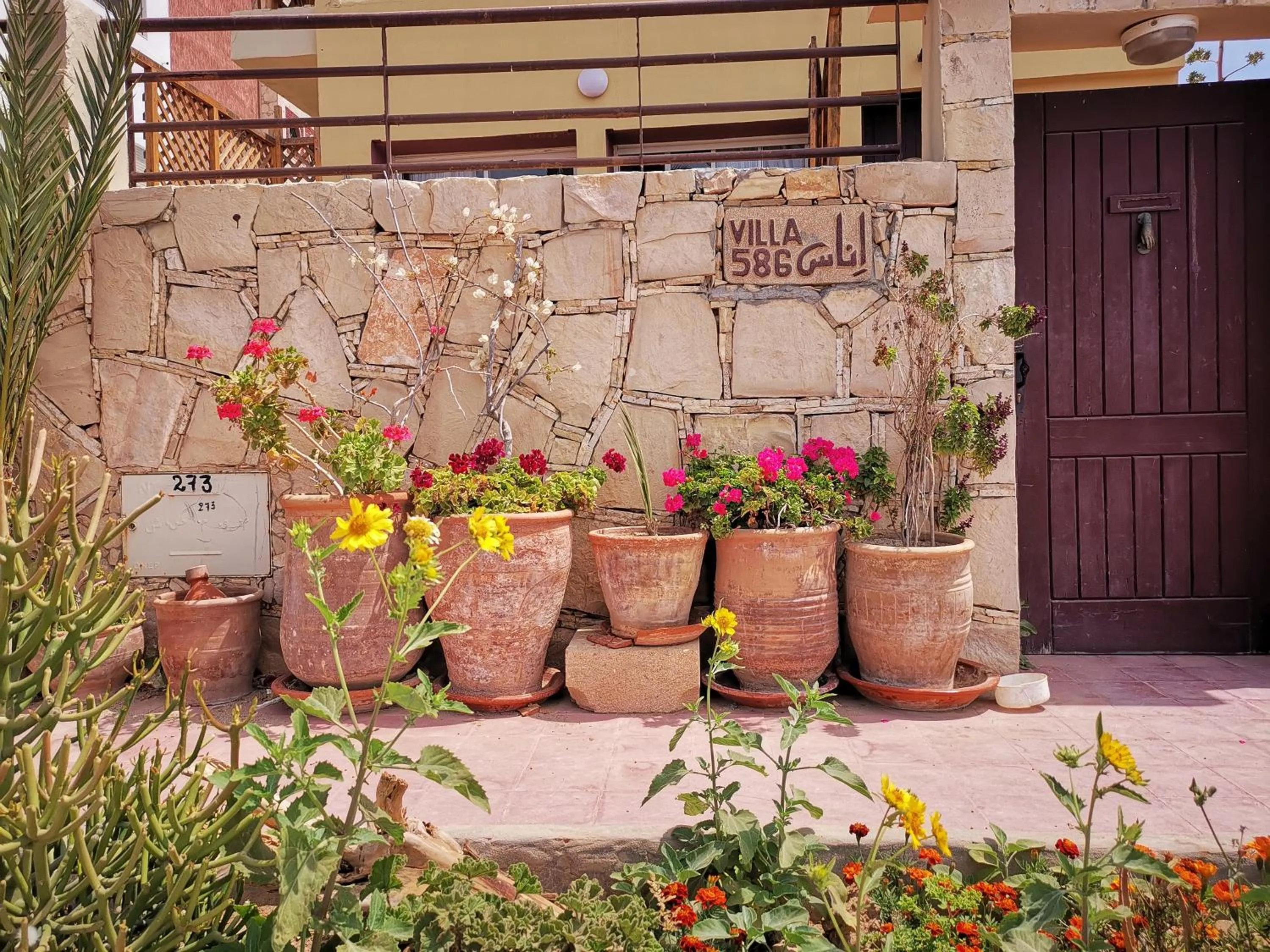 Garden in Travel Surf Morocco