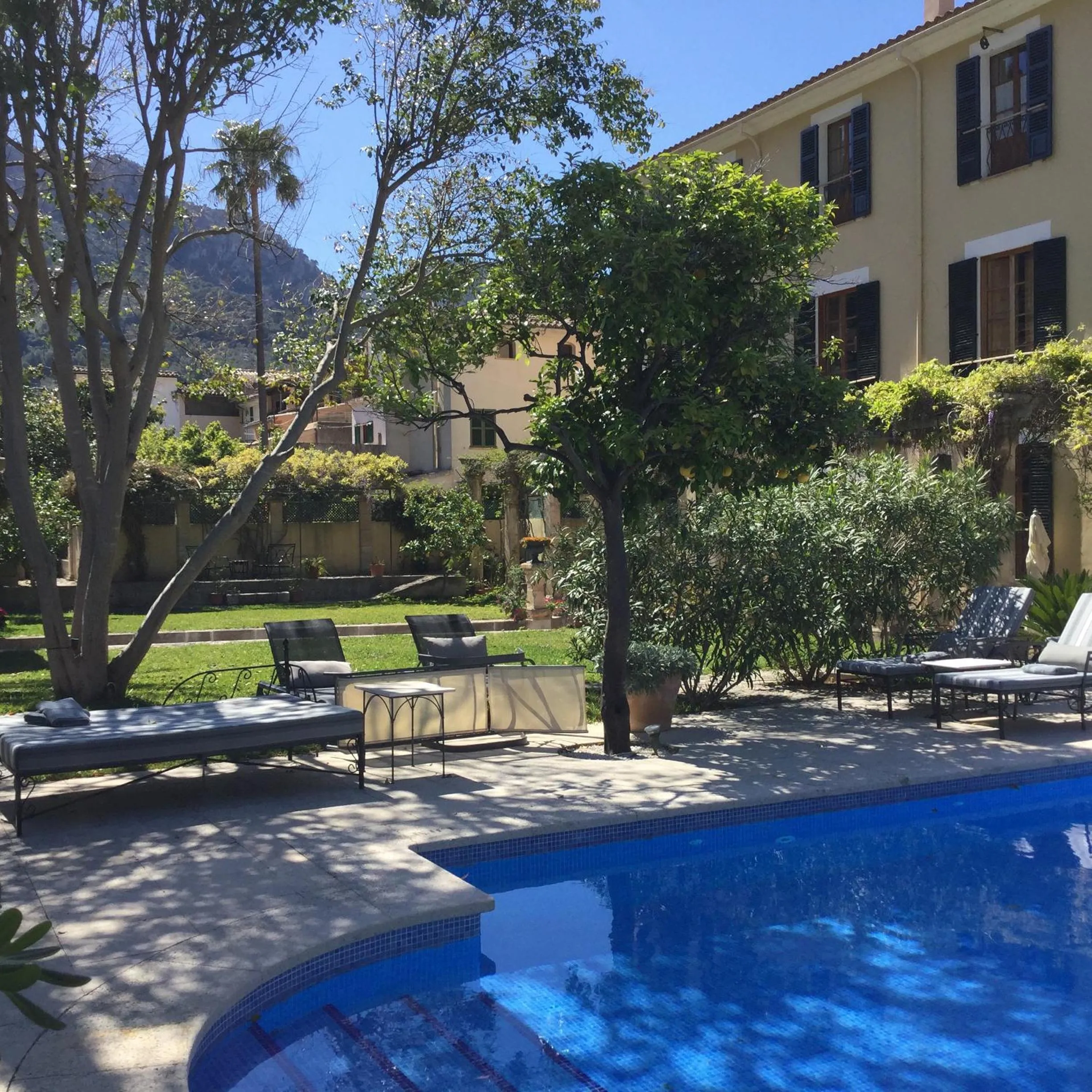 Garden in The Salvia - Adults Only