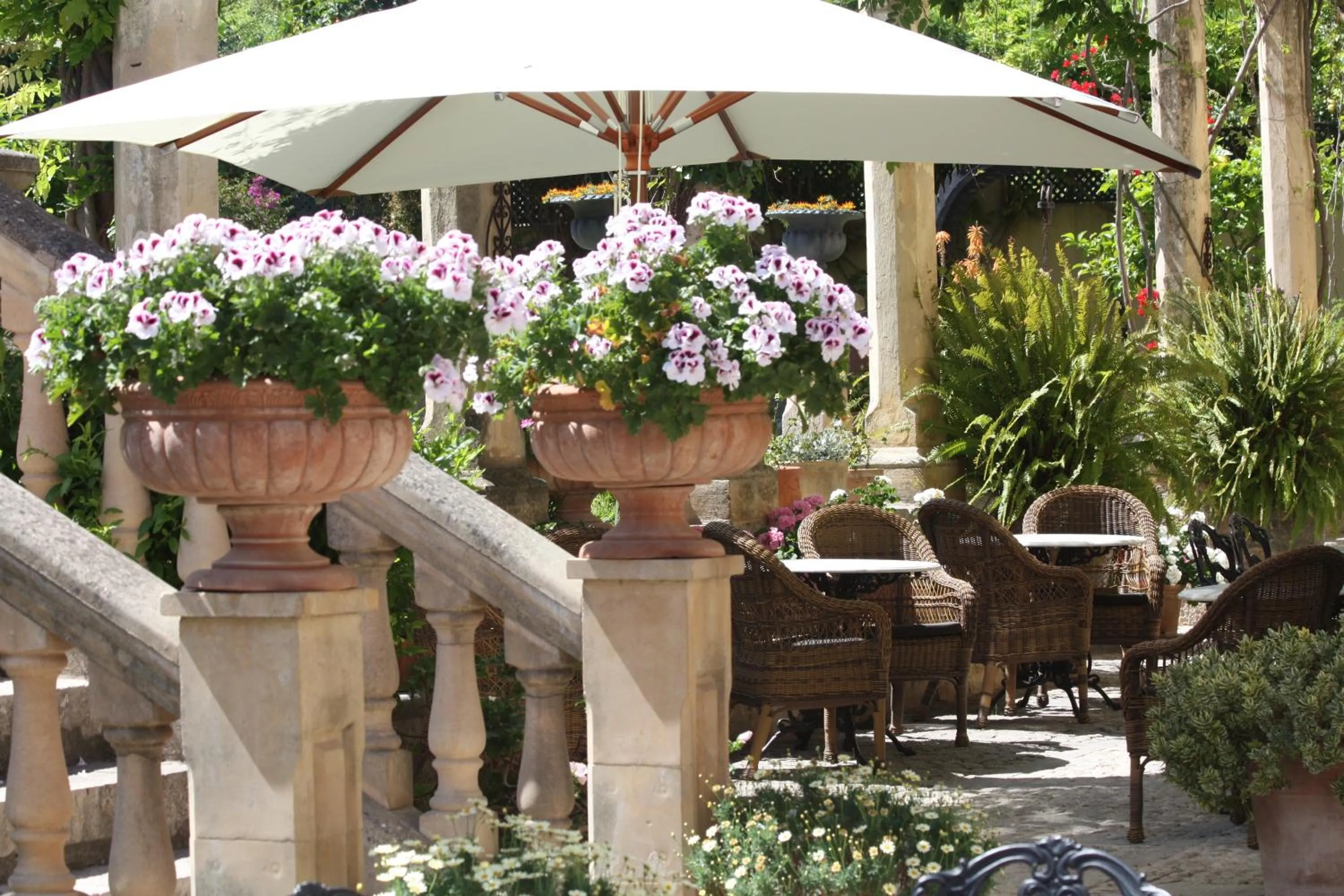 Balcony/Terrace in The Salvia - Adults Only