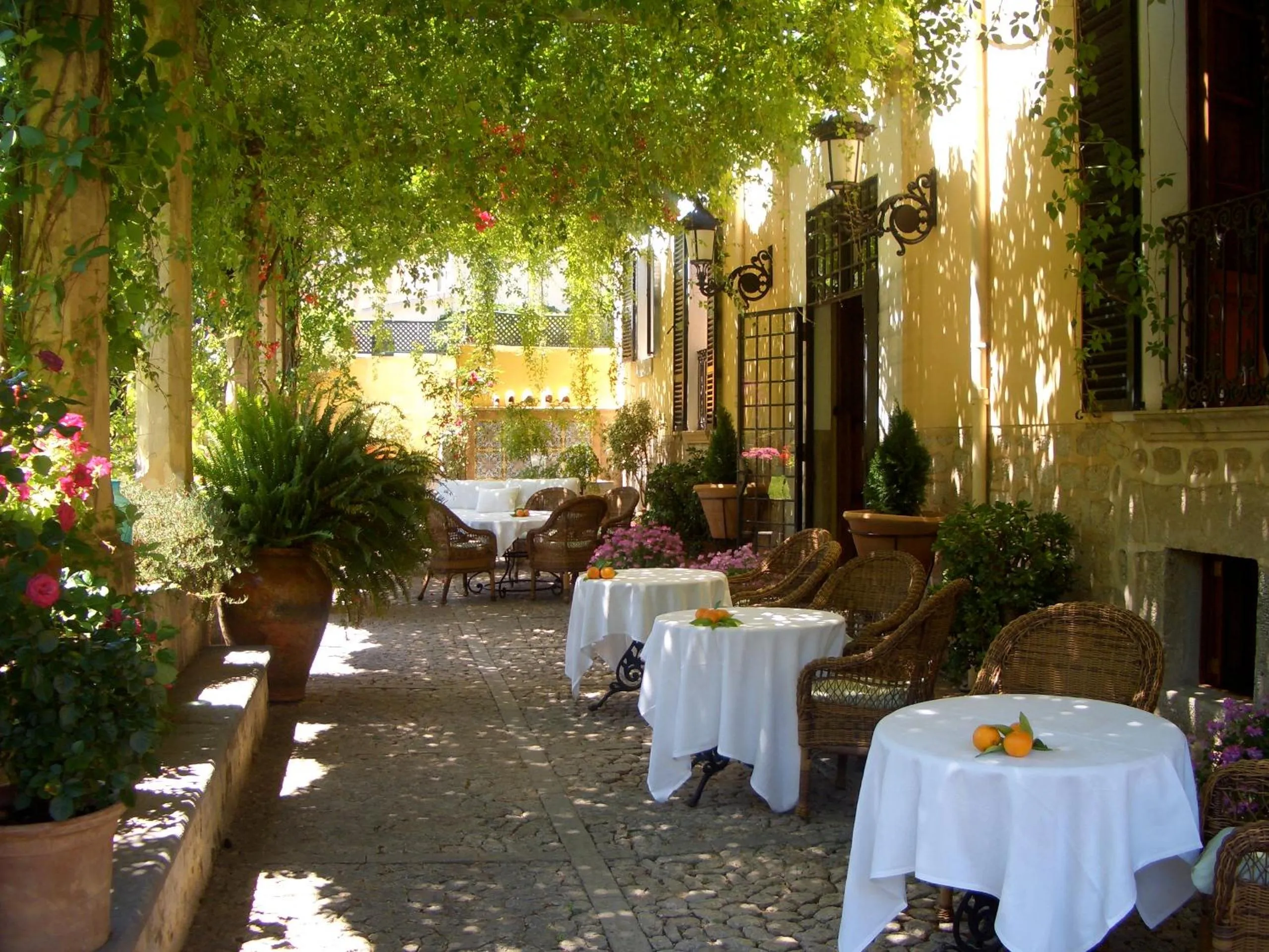 Balcony/Terrace in The Salvia - Adults Only