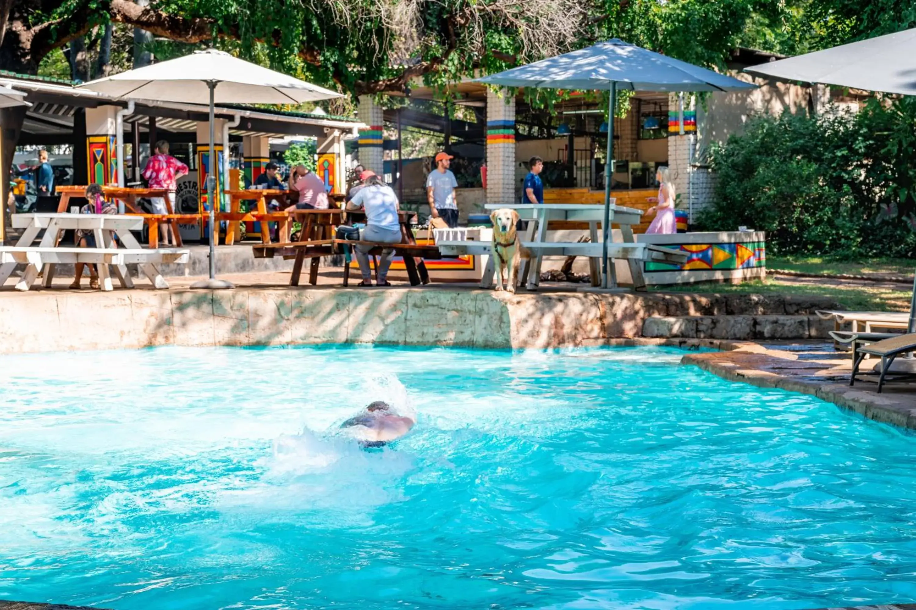 Swimming pool in Shoestrings Backpackers Lodge Vic Falls Swimming pool in Shoestrings Backpackers Lodge Vic Falls