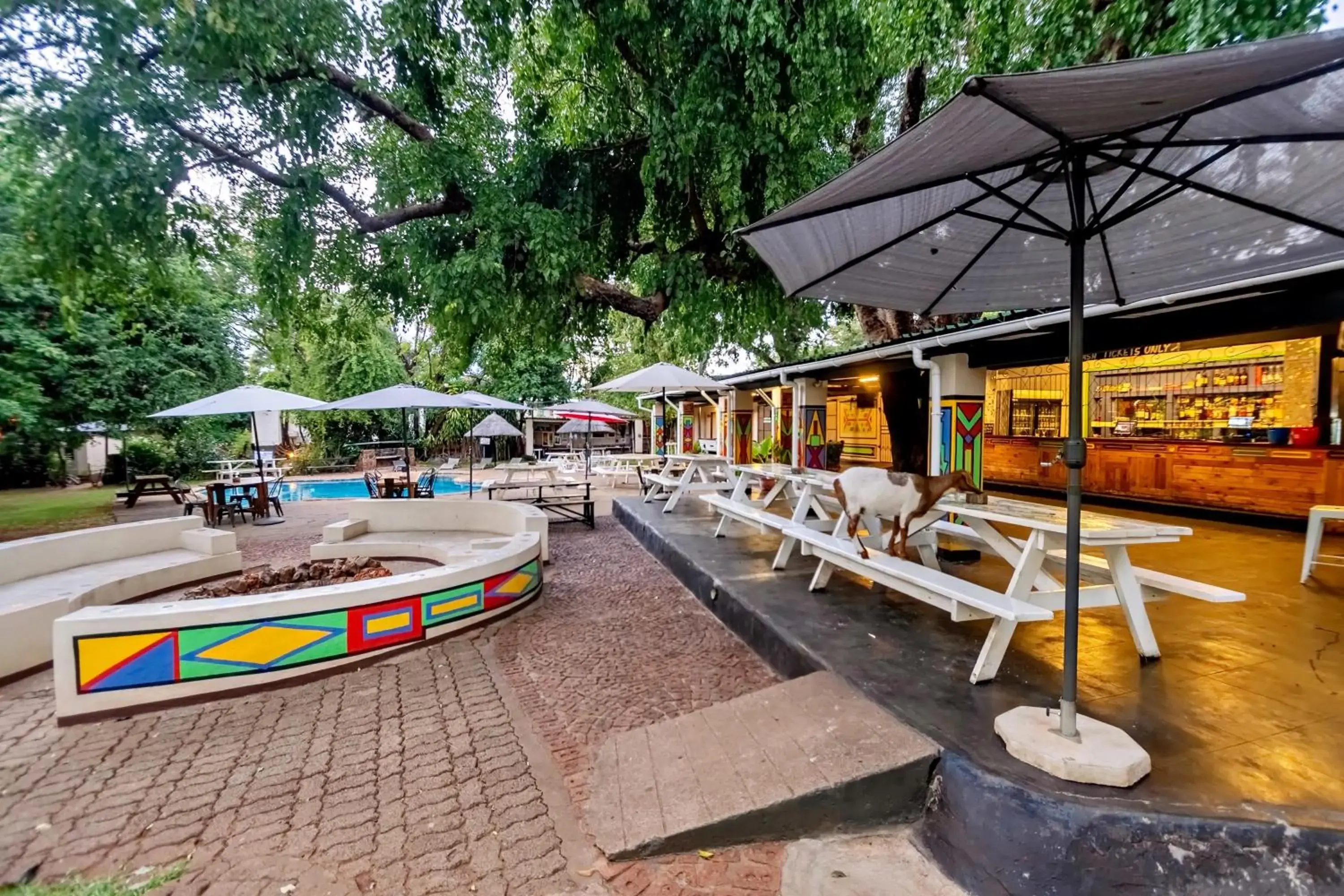 Property building in Shoestrings Backpackers Lodge Vic Falls Property building in Shoestrings Backpackers Lodge Vic Falls