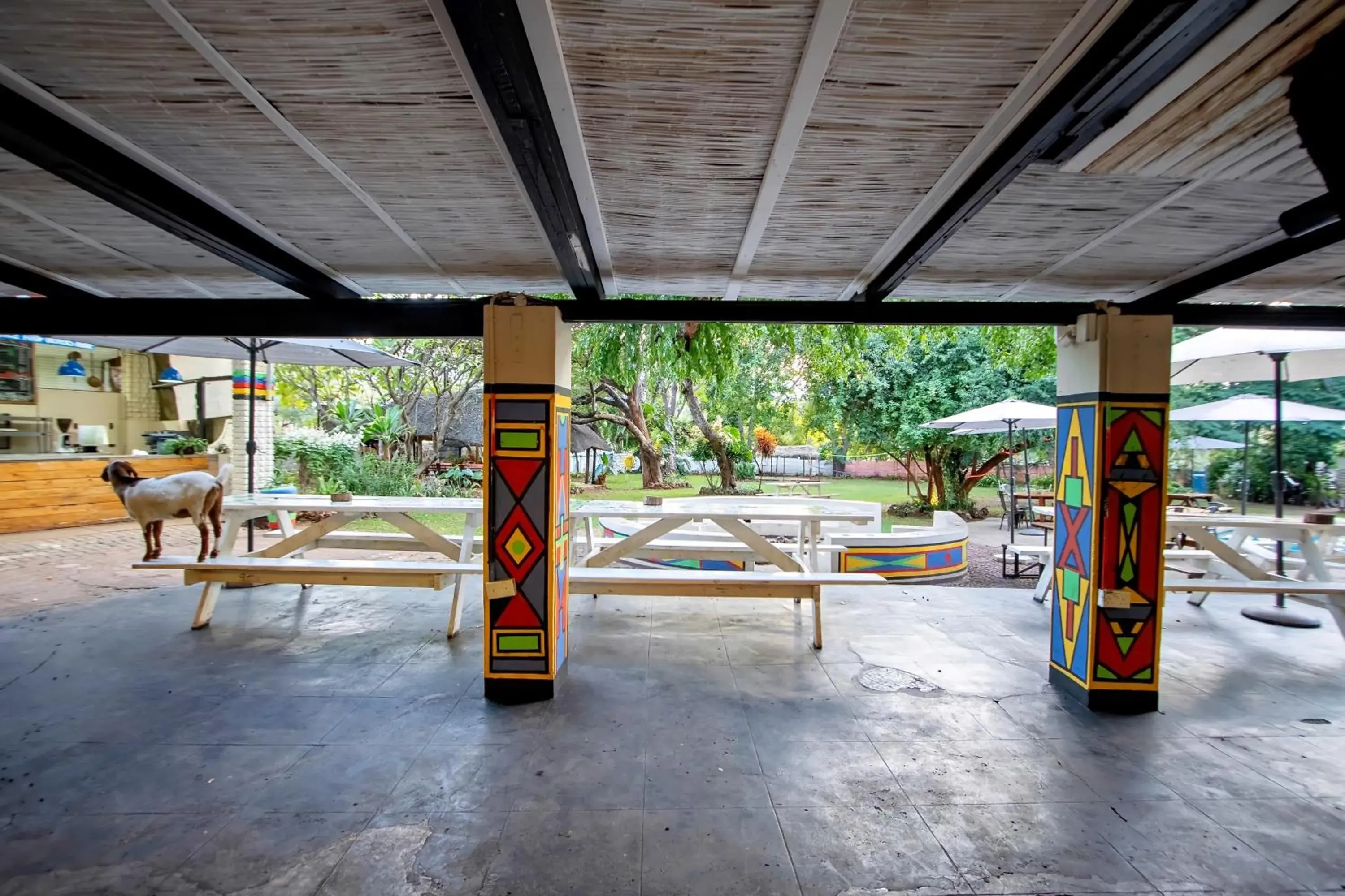 Property building in Shoestrings Backpackers Lodge Vic Falls Property building in Shoestrings Backpackers Lodge Vic Falls