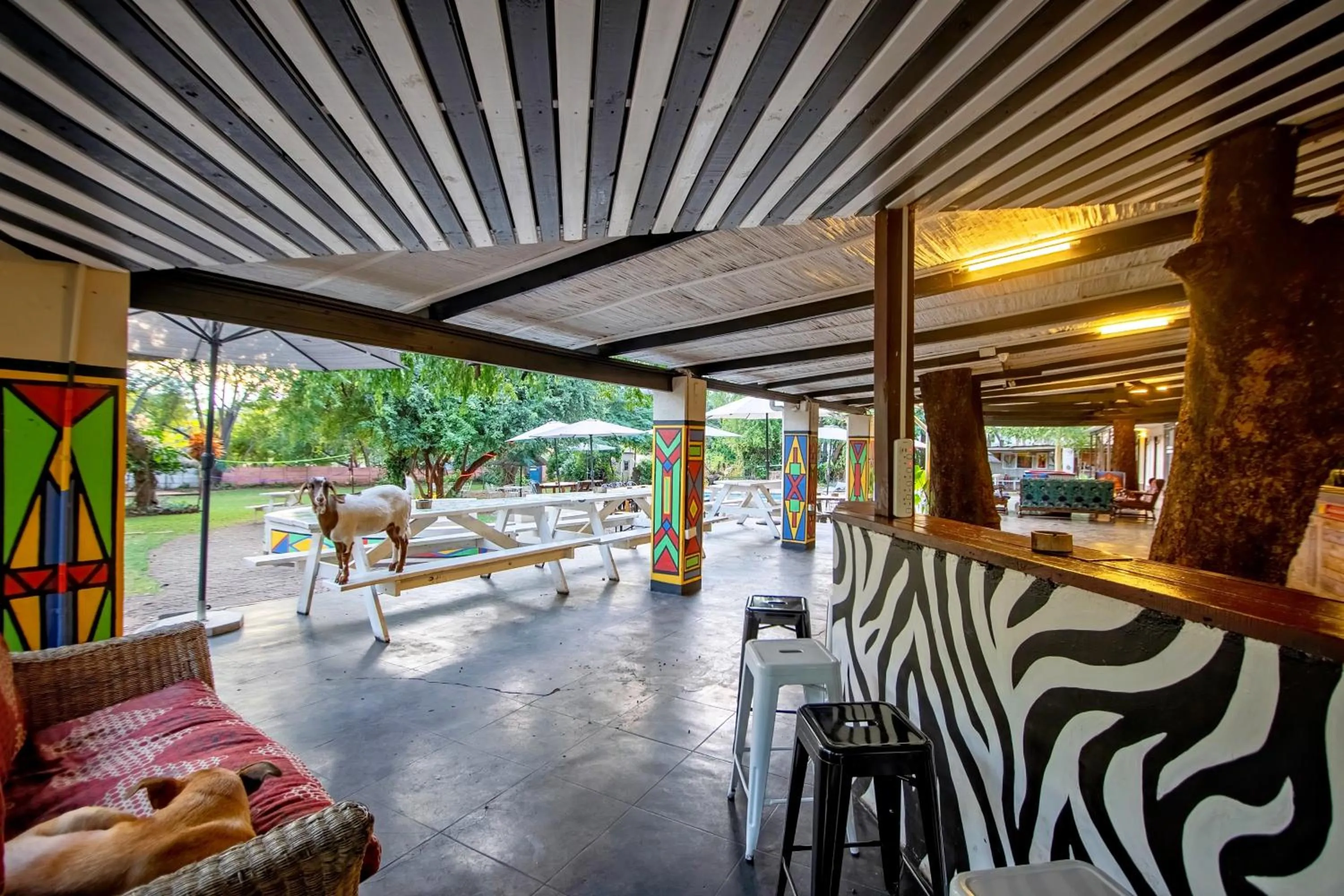 Property building in Shoestrings Backpackers Lodge Vic Falls