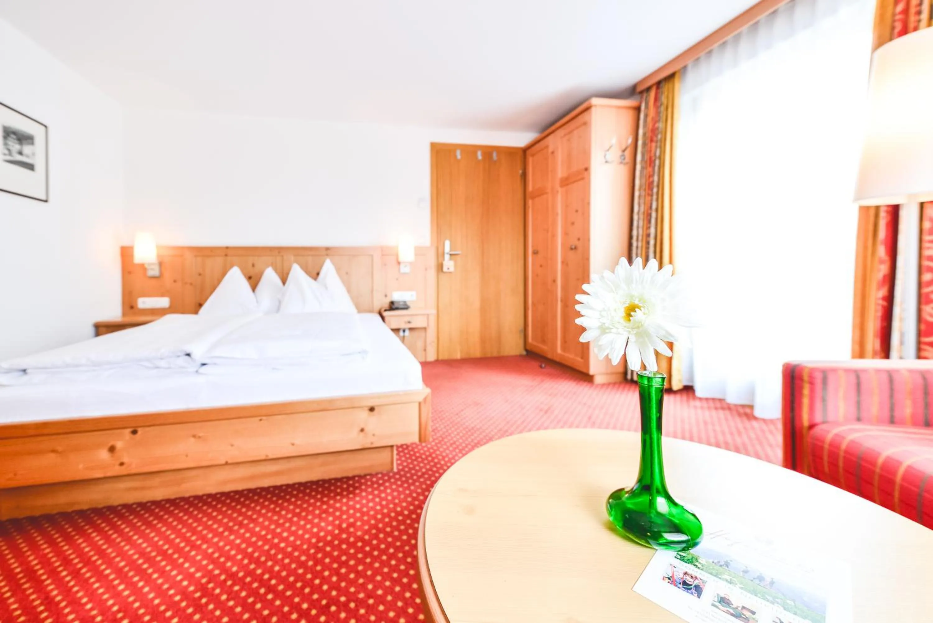 Double Room - single occupancy in Hotel-Pension Hoferhaus