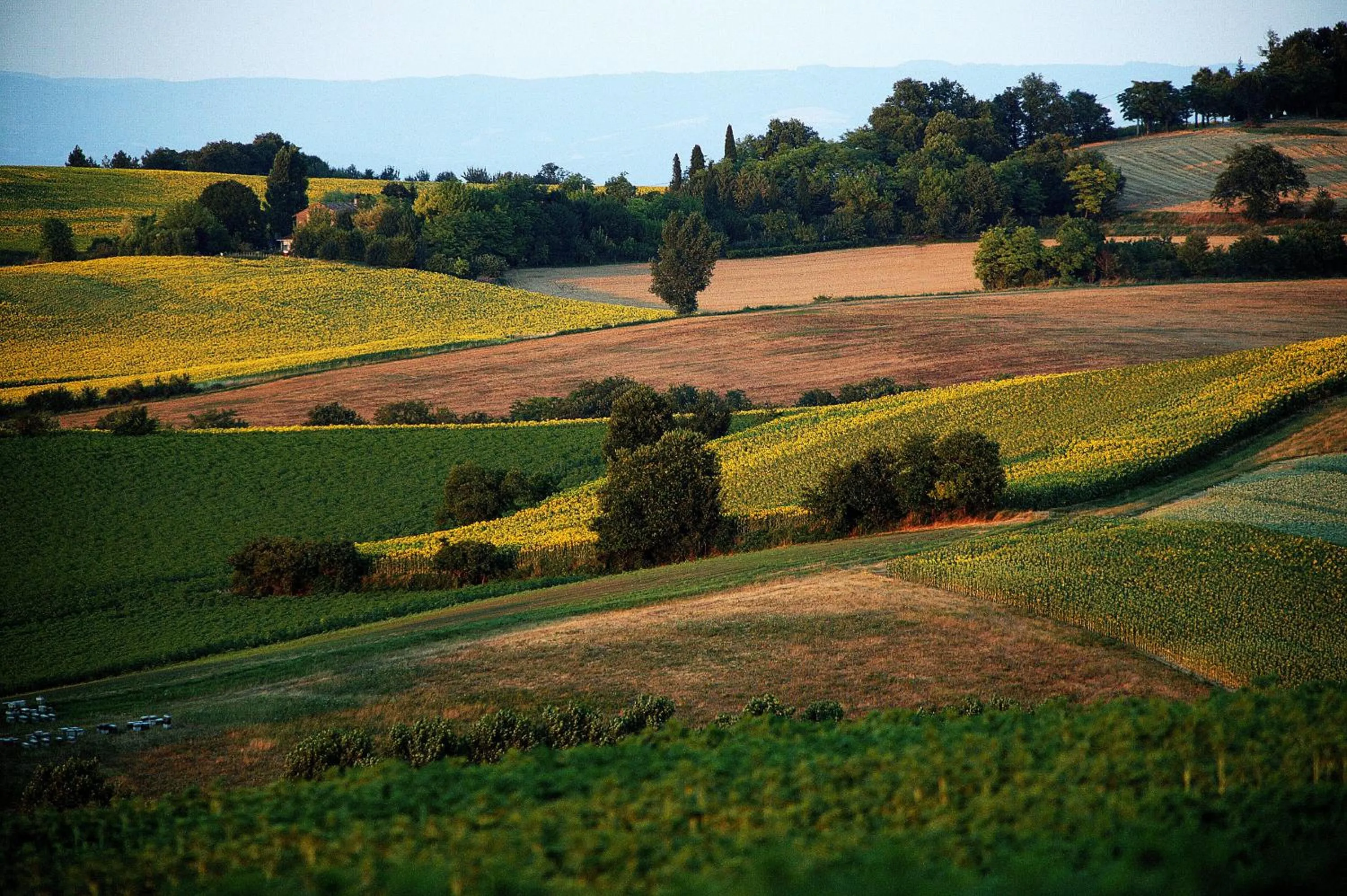 Natural landscape in Auberge du Poids Public Logis Hotel